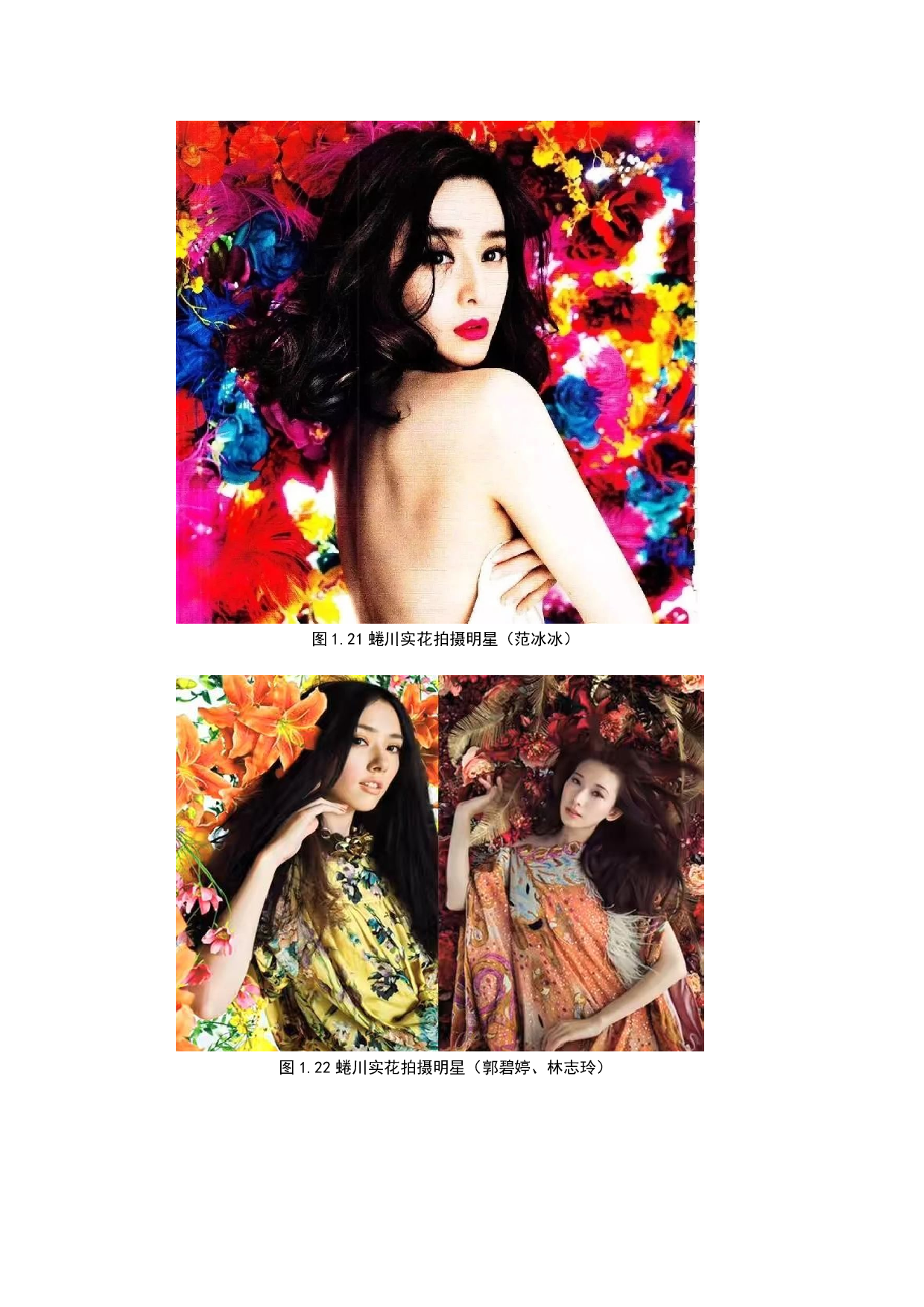 繁花正盛&mdash;&mdash;蜷川实花摄影作品中视觉符号研究-9548字.docx 第7页