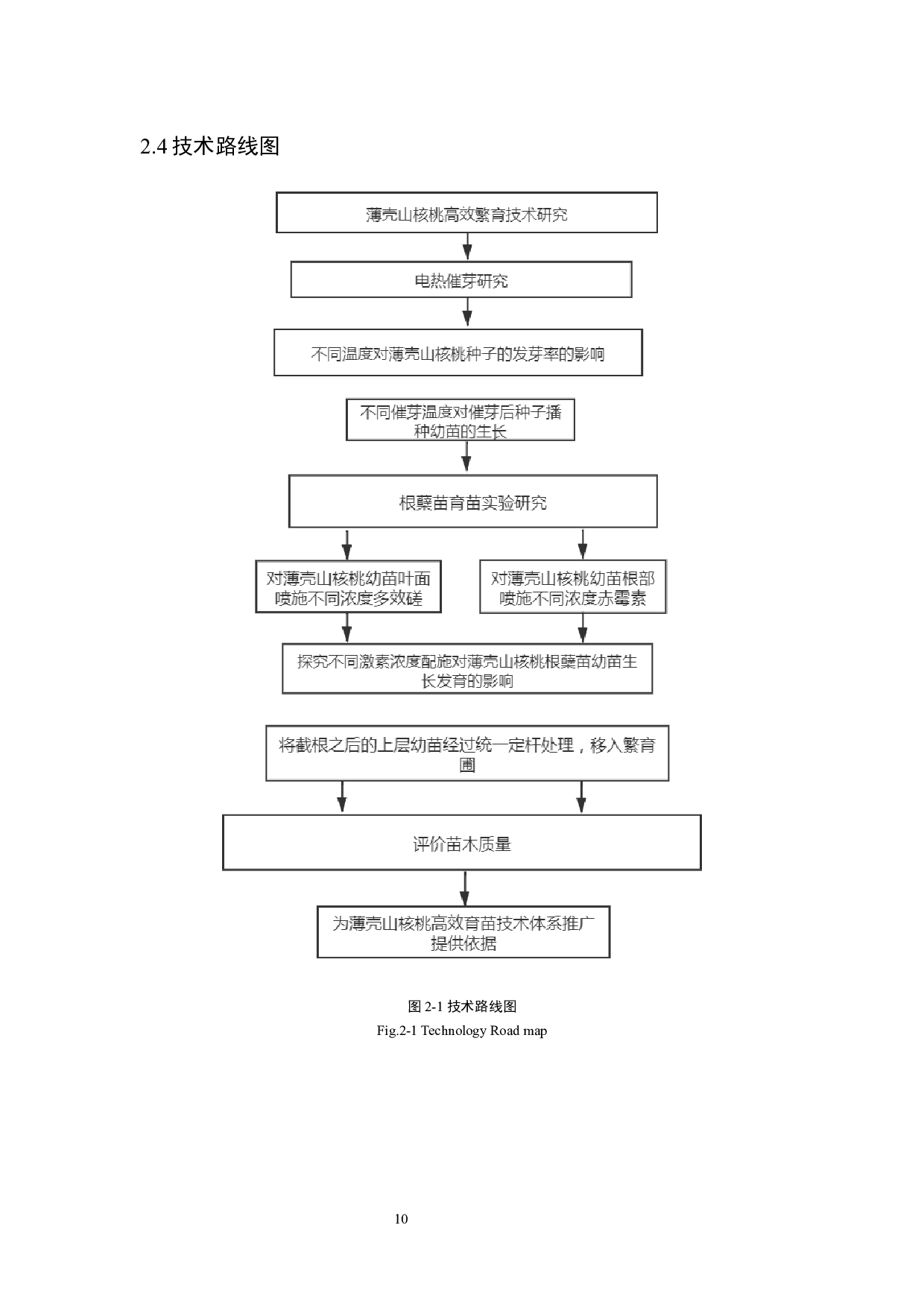 薄壳山核桃高效繁育技术-19419字.docx 第10页