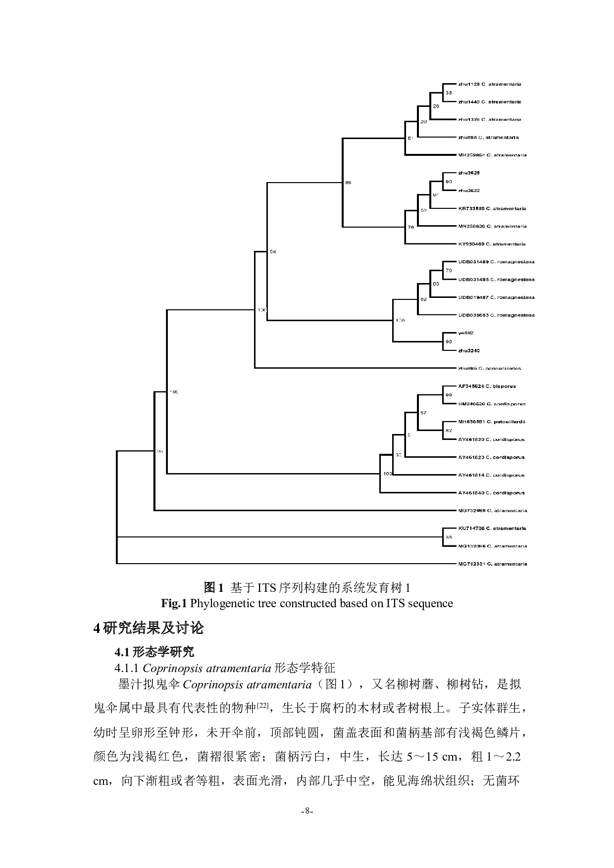 atramentaria和C.romagnesiana-6909字.docx 第8页
