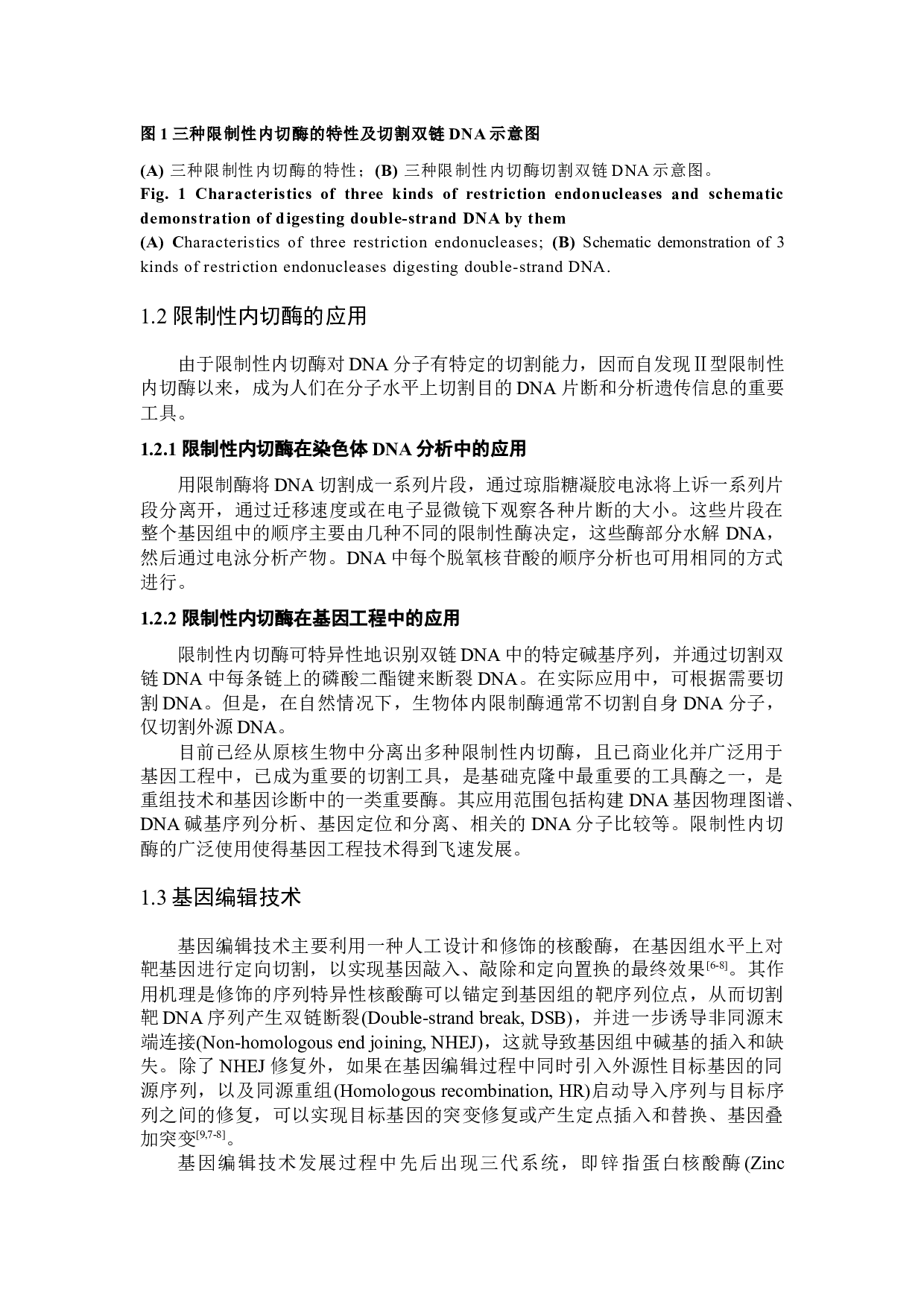 一种DNA片断体外定向自我剪接机制的结果分析和验证-23852字.docx 第2页