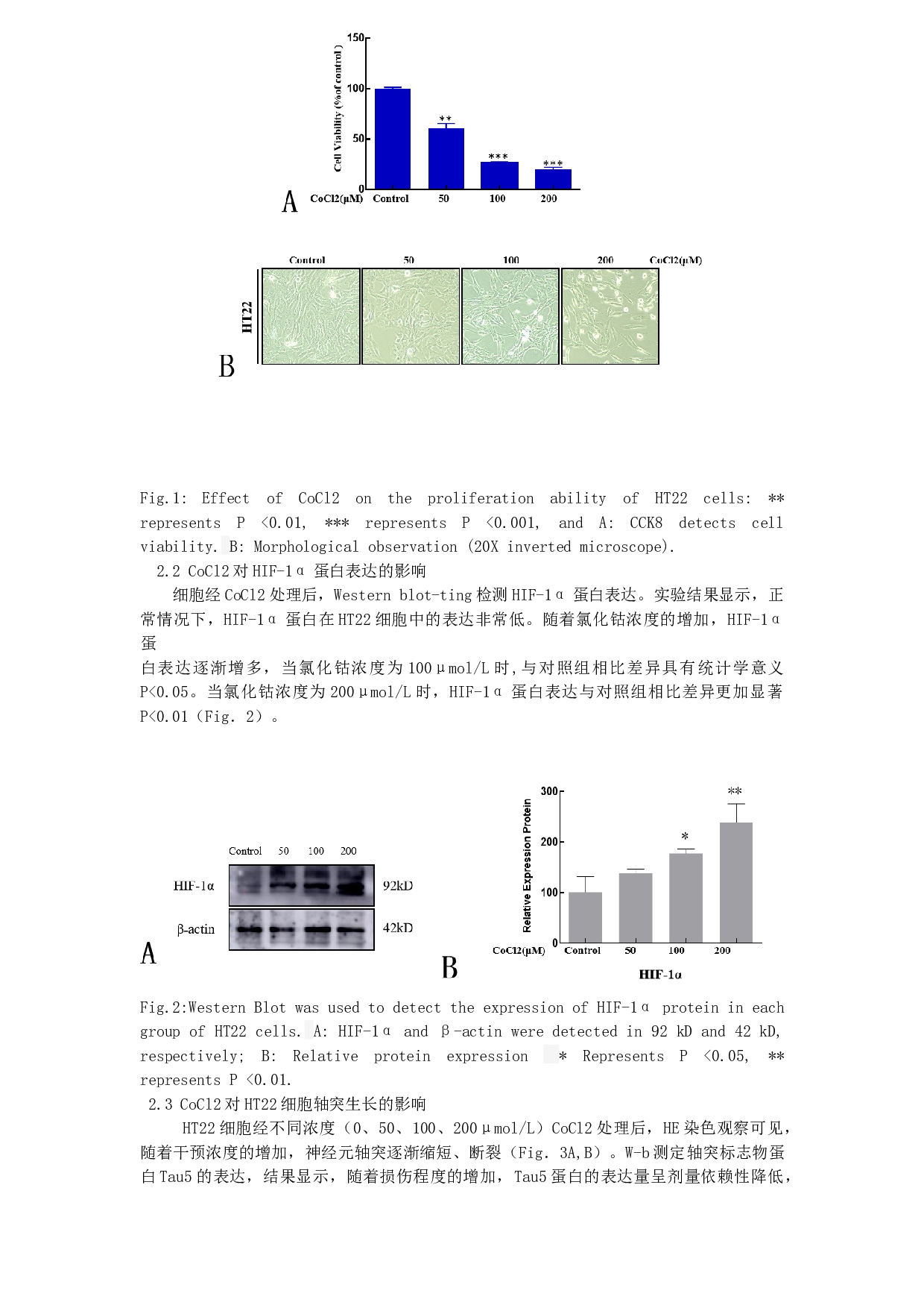 不同浓度氯化钴诱导小鼠海马神经元细胞缺氧损伤模型的比较-3622字.docx 第3页