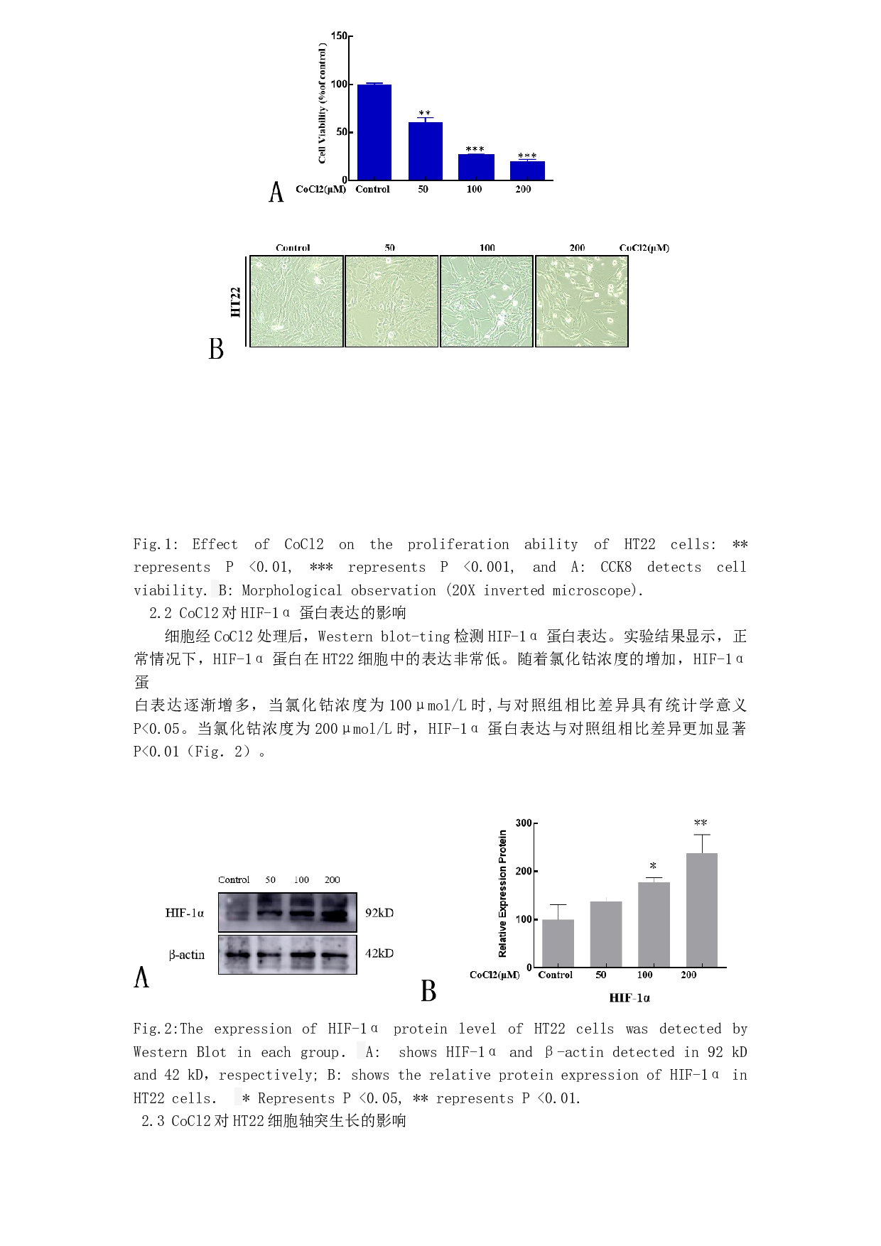 不同浓度氯化钴诱导小鼠海马神经元细胞缺氧损伤模型的比较-3729字.docx 第3页