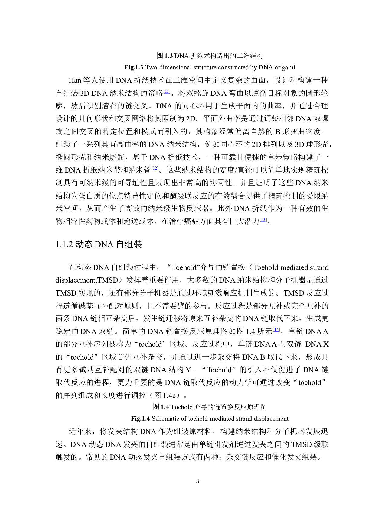 DNA纳米自组装结构的构建及其在信号放大生物传感与成像分析中的应用-41213字.docx 第8页