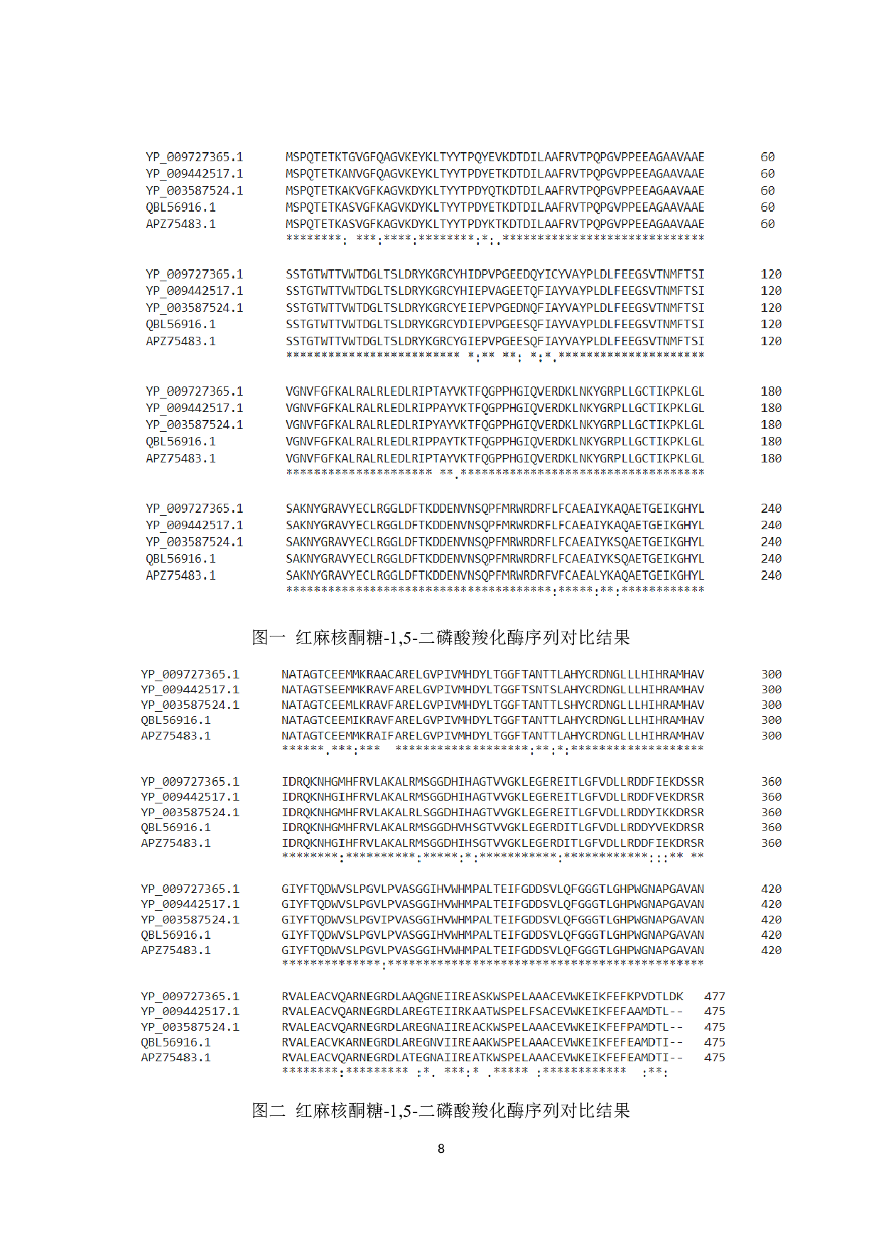 二磷酸羧化酶生物信息学分析-3948字.docx 第8页