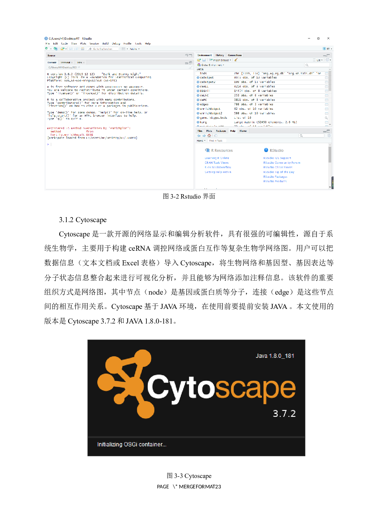 基于组学数据分析的儿童肾横纹肌样瘤ceRNA网络构建与决策支持-10398字.docx 第10页
