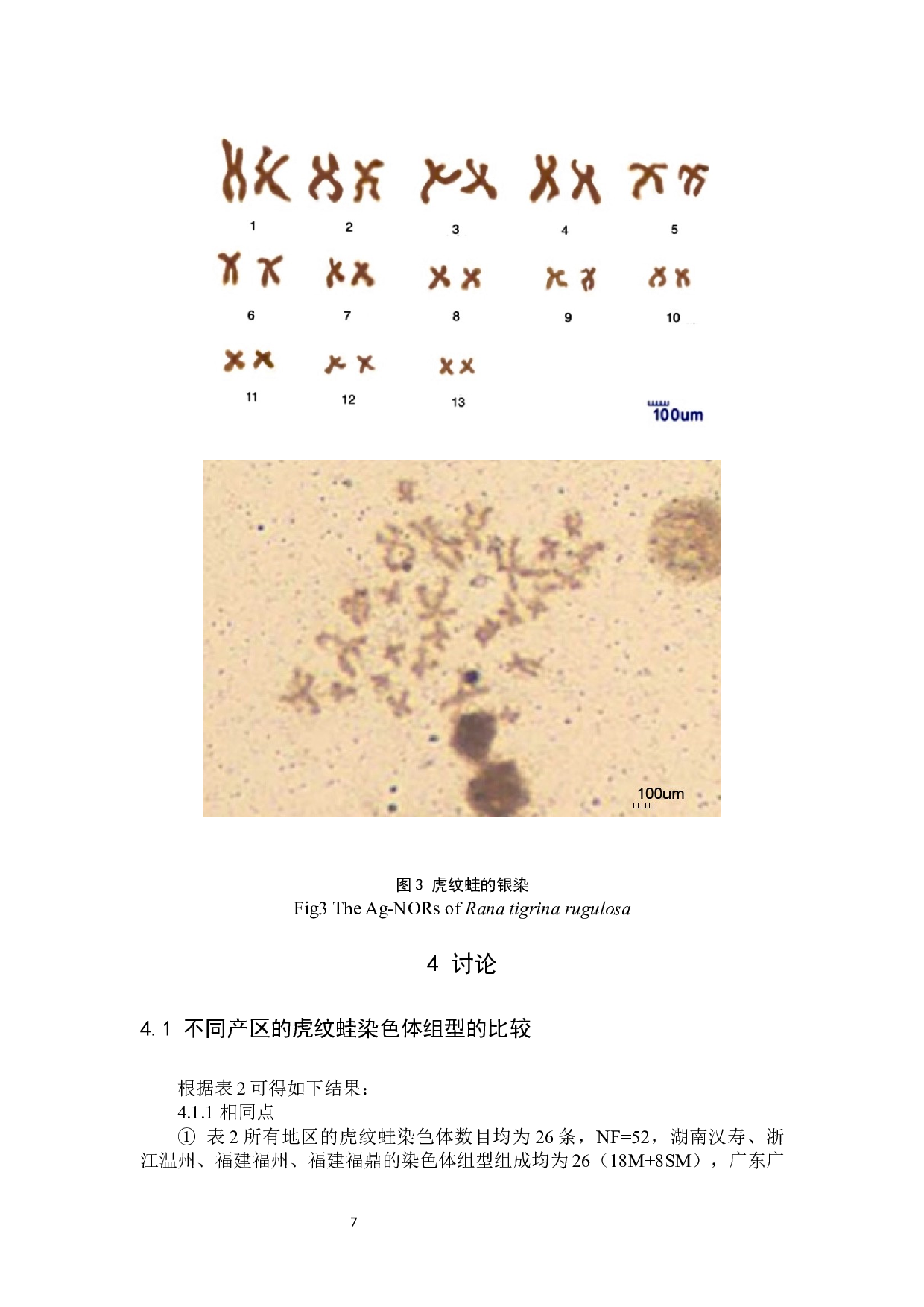 福建福鼎市虎纹蛙染色体组型和Ag-NORs的研究-7684字.docx 第10页