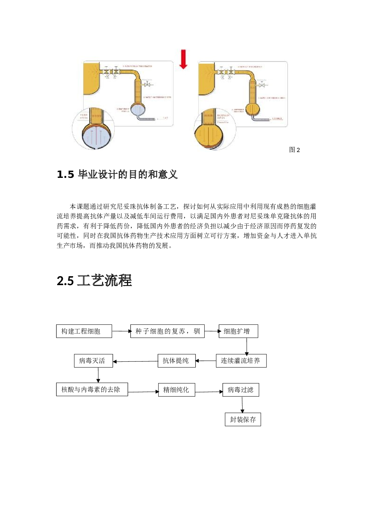尼妥珠单抗原液生产车间工艺设计-11256字.docx 第9页