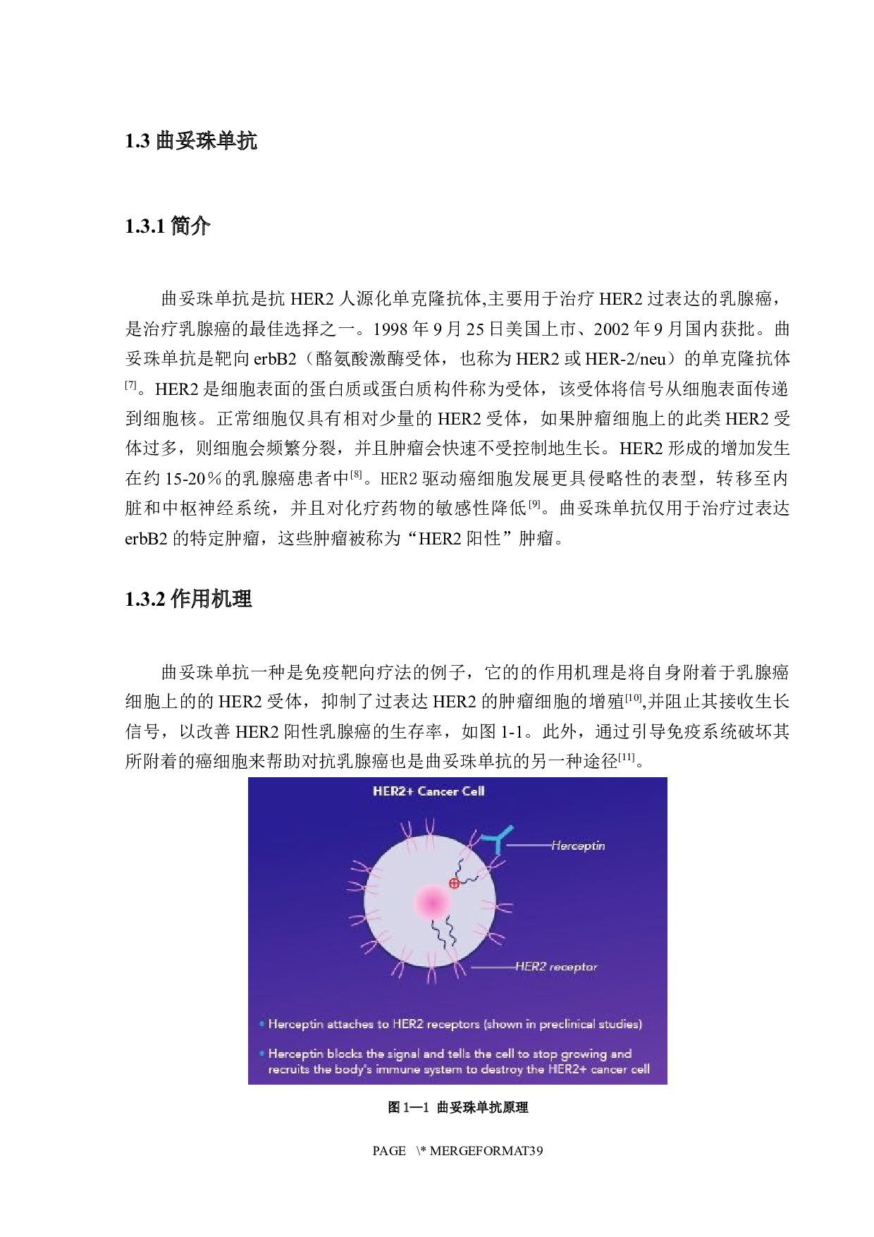 曲妥珠单抗原液生产车间工艺设计-14341字.docx 第8页