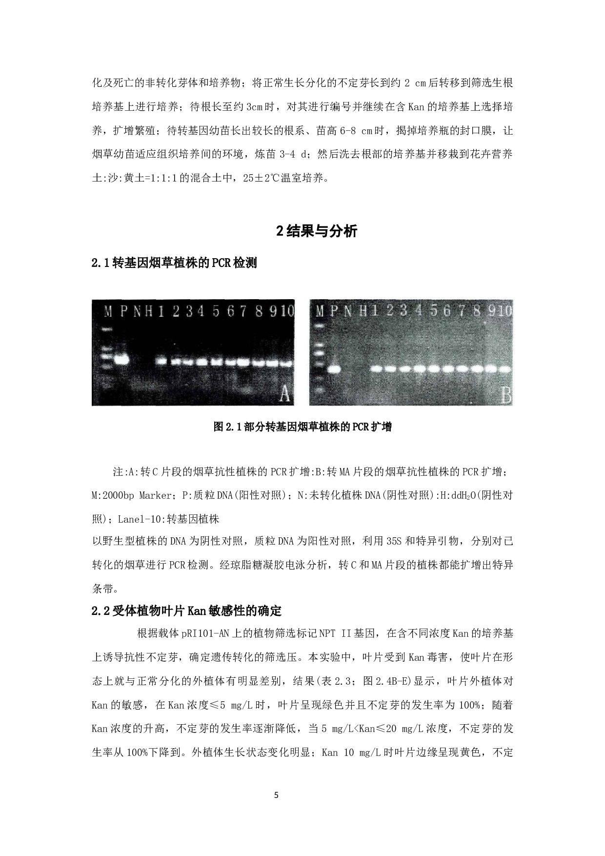 _外源基因瞬时转化烟草叶片的研究(1)_外源基因瞬时转化烟草叶片的研究-6816字.docx 第9页