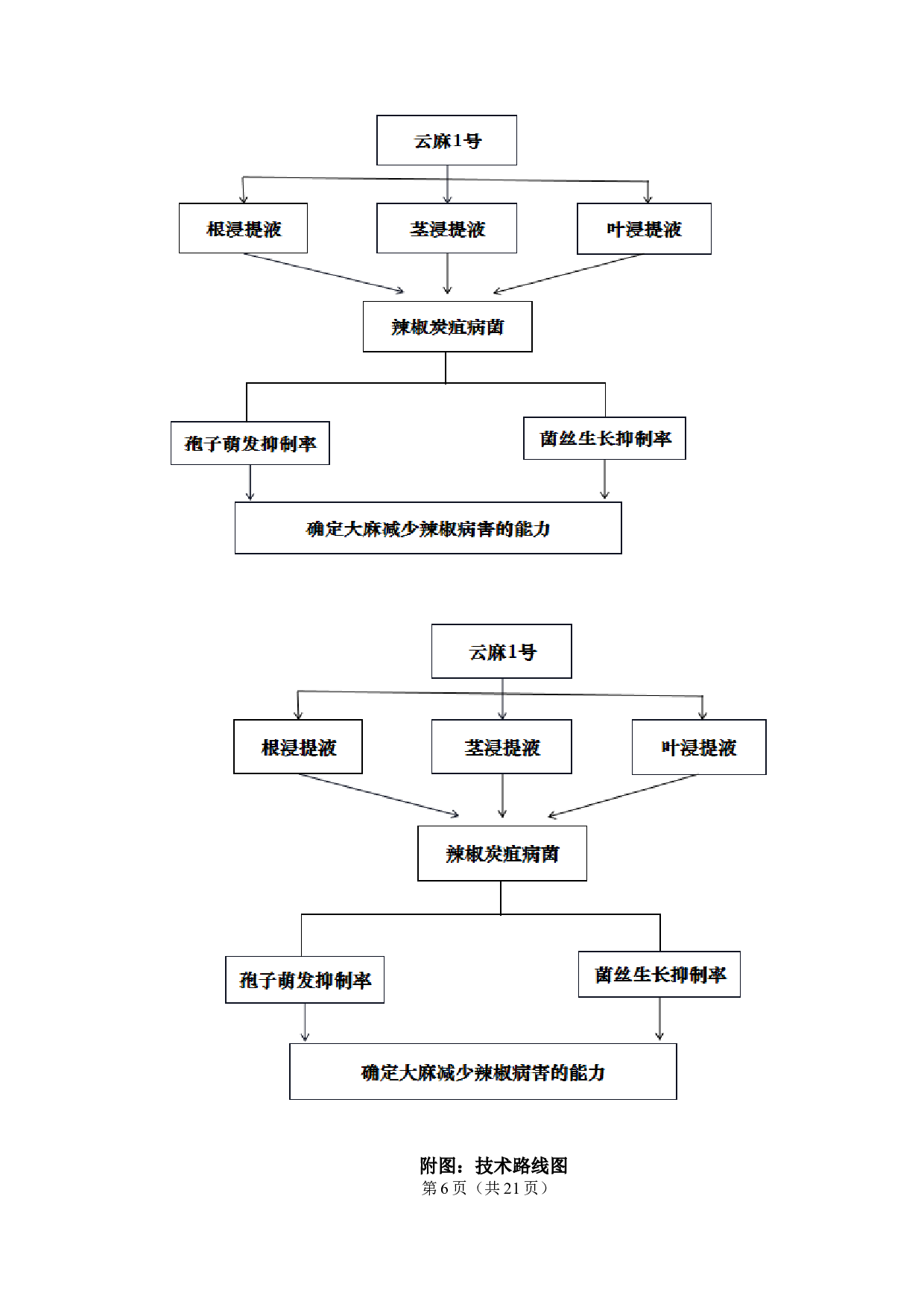 云麻1号浸提液对辣椒炭疽病菌的影响-9739字.docx 第7页
