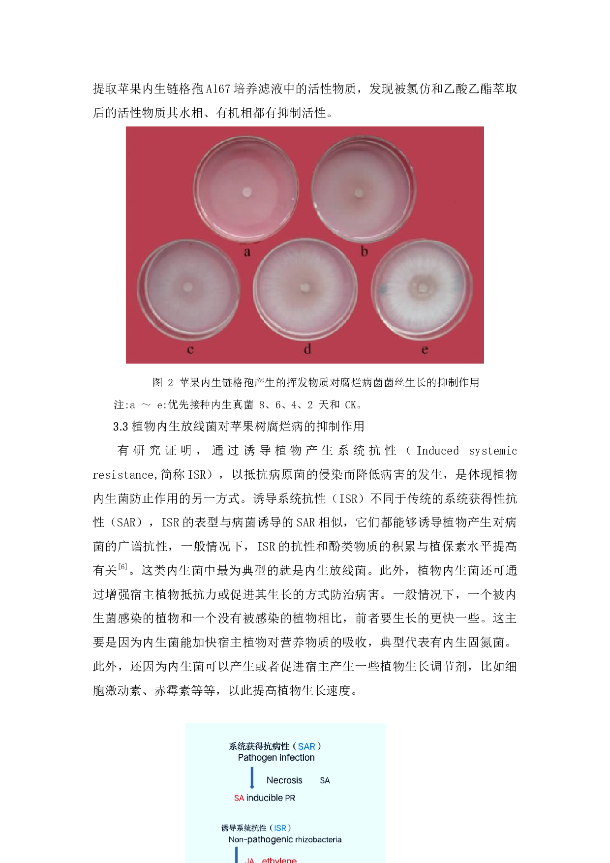 植物内生菌对苹果树腐烂病防治的研究进展-9006字.docx 第9页