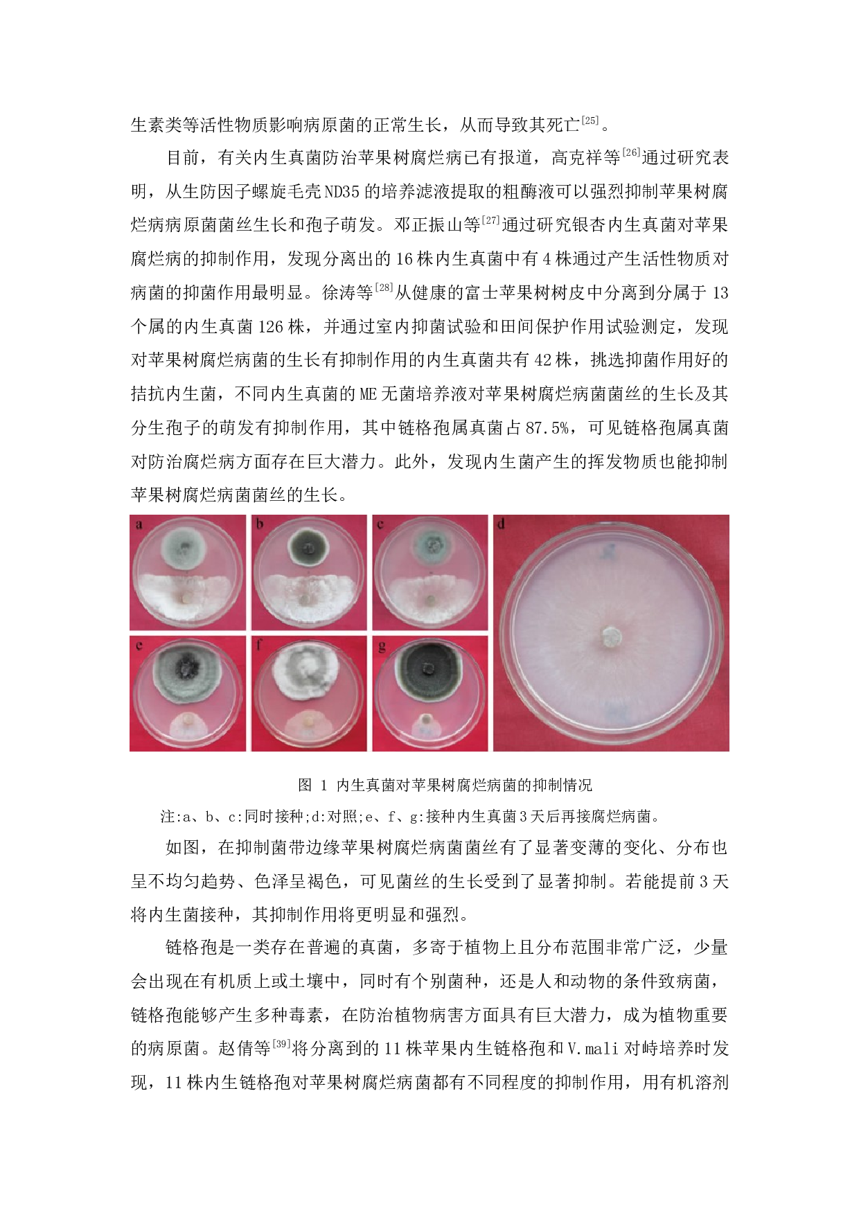 植物内生菌对苹果树腐烂病防治的研究进展-9006字.docx 第8页