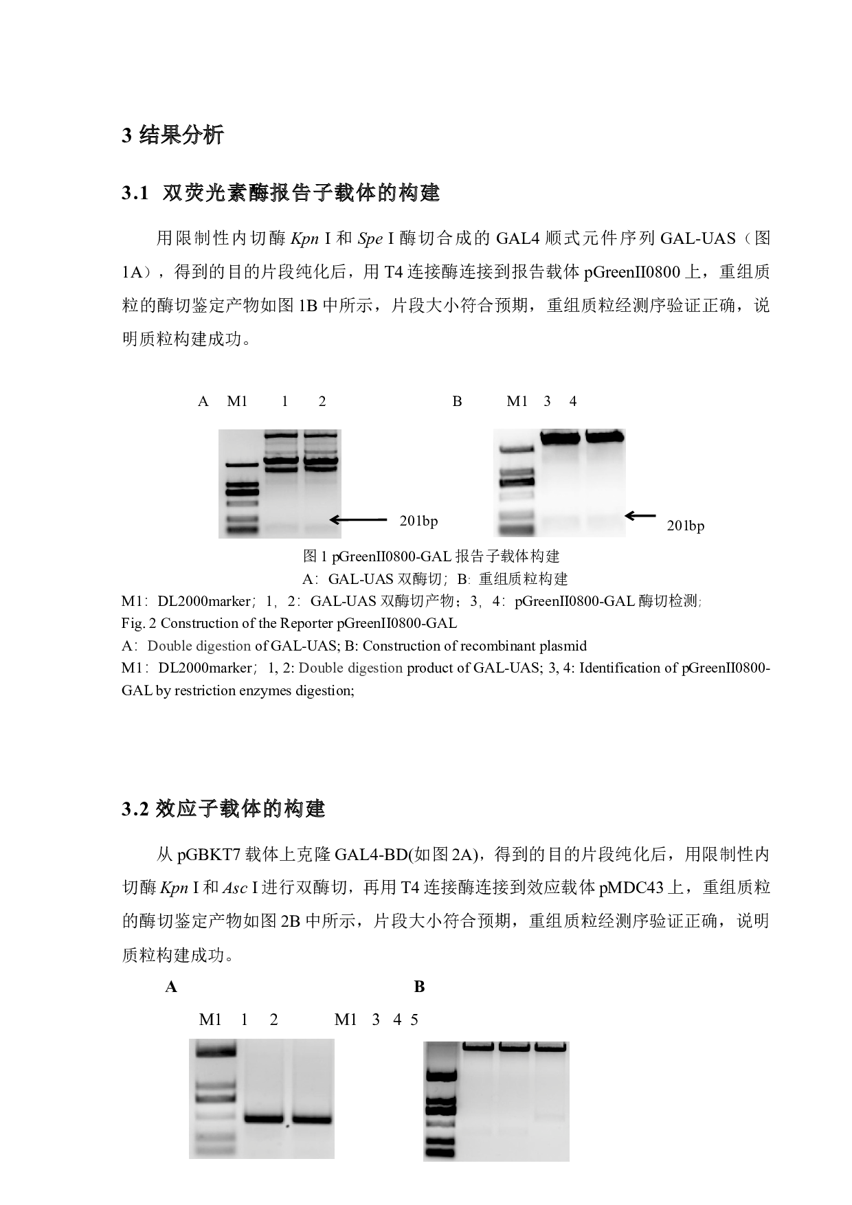 植物转录因子转录活性分析系统开发及验证-6965字.docx 第9页