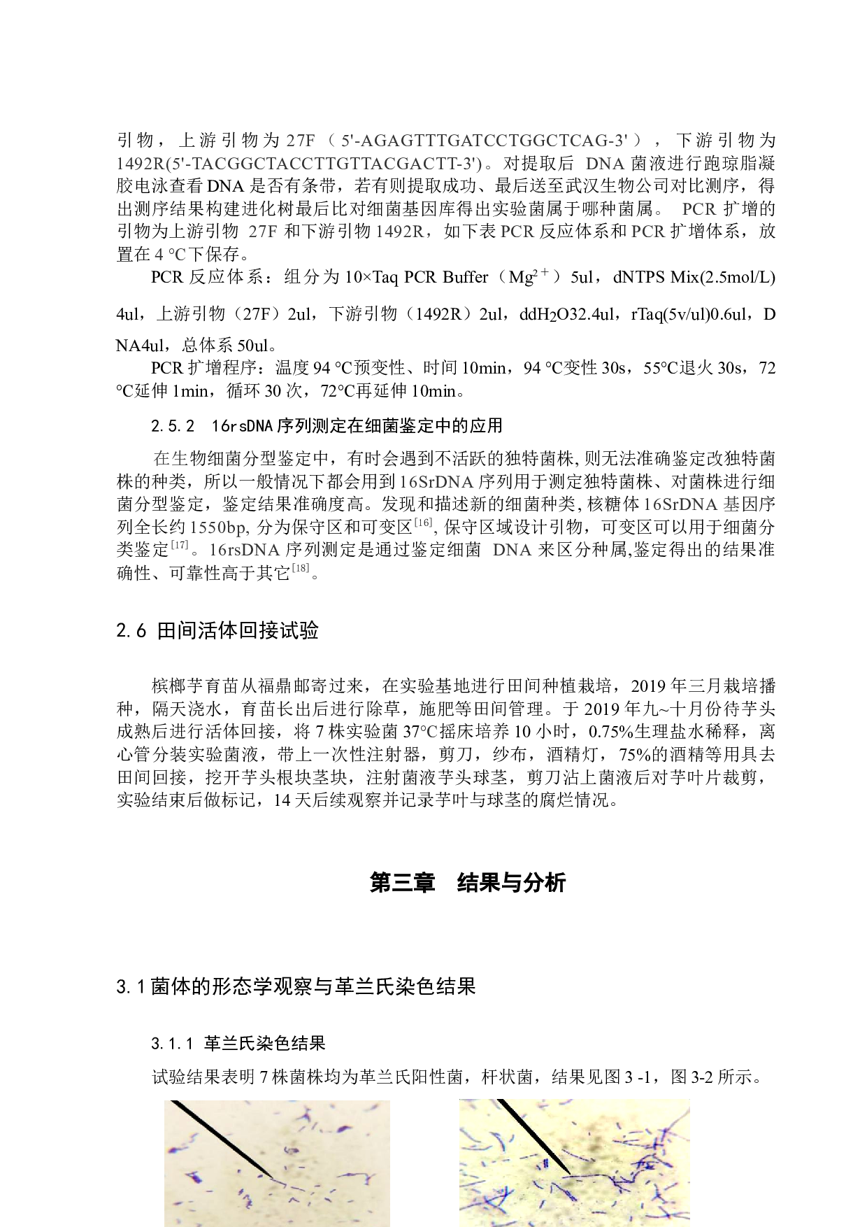 槟榔芋病原菌的鉴定-10995字.docx 第9页