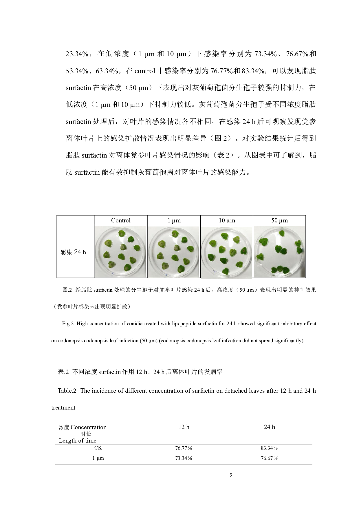 芽孢杆菌提取物－脂肽类物质对党参灰霉病的抑制作用-6953字.docx 第10页