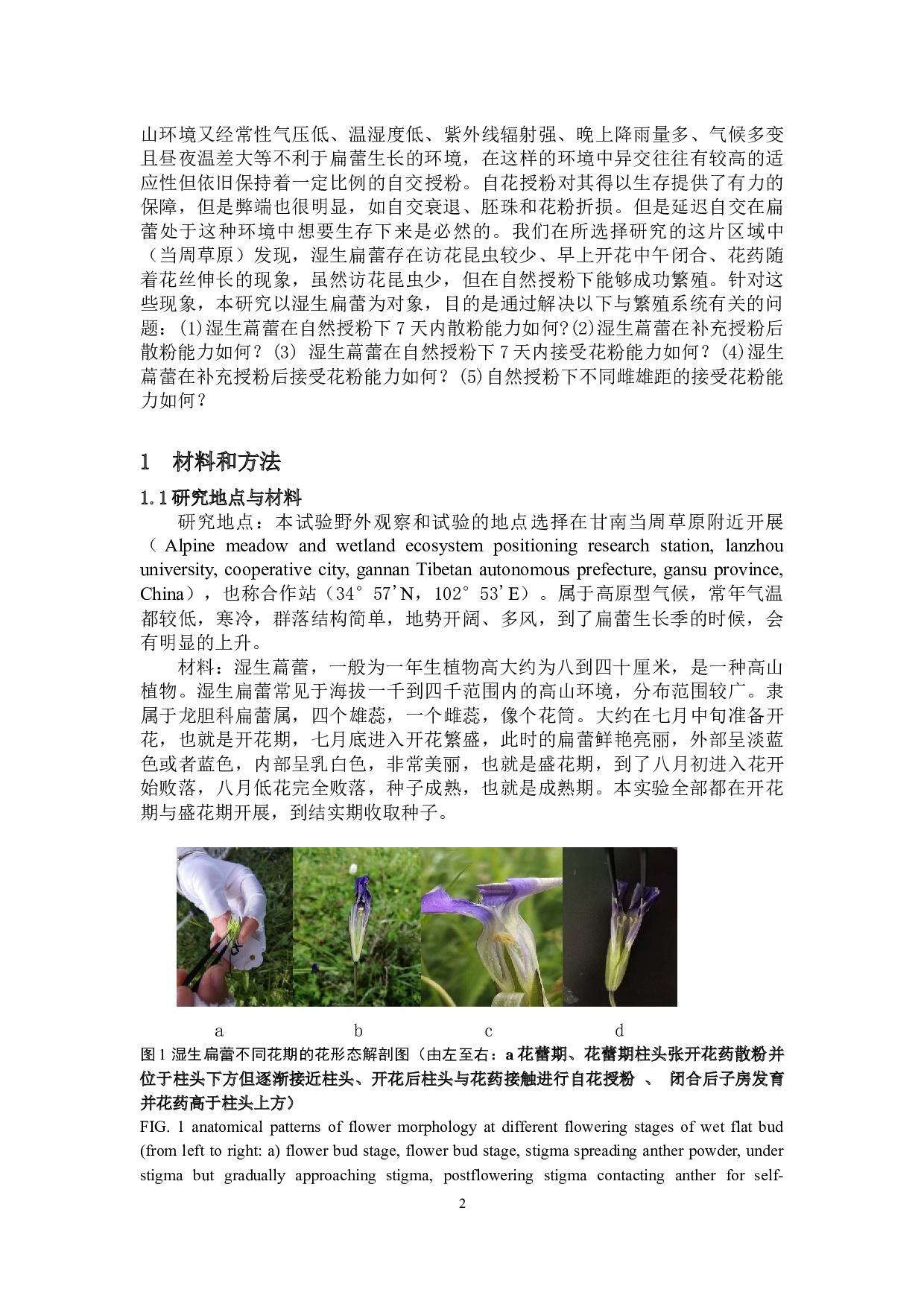 高山植物湿生扁蕾在不同处理状态下柱头可授性与花粉活力的变化机制-7142字.docx 第4页