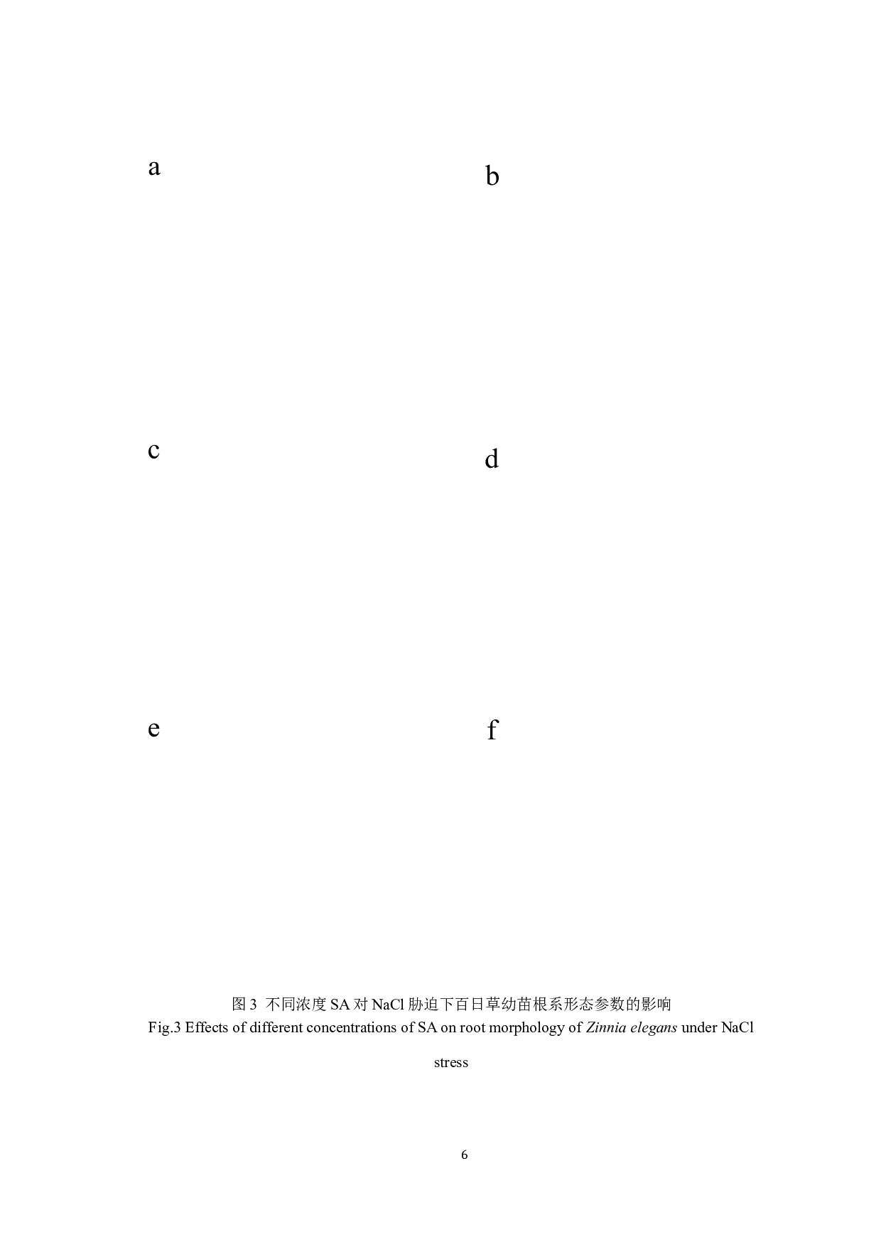 颜培涵水杨酸对NaCl胁迫下百日草幼苗生长的影响-7169字.docx 第9页