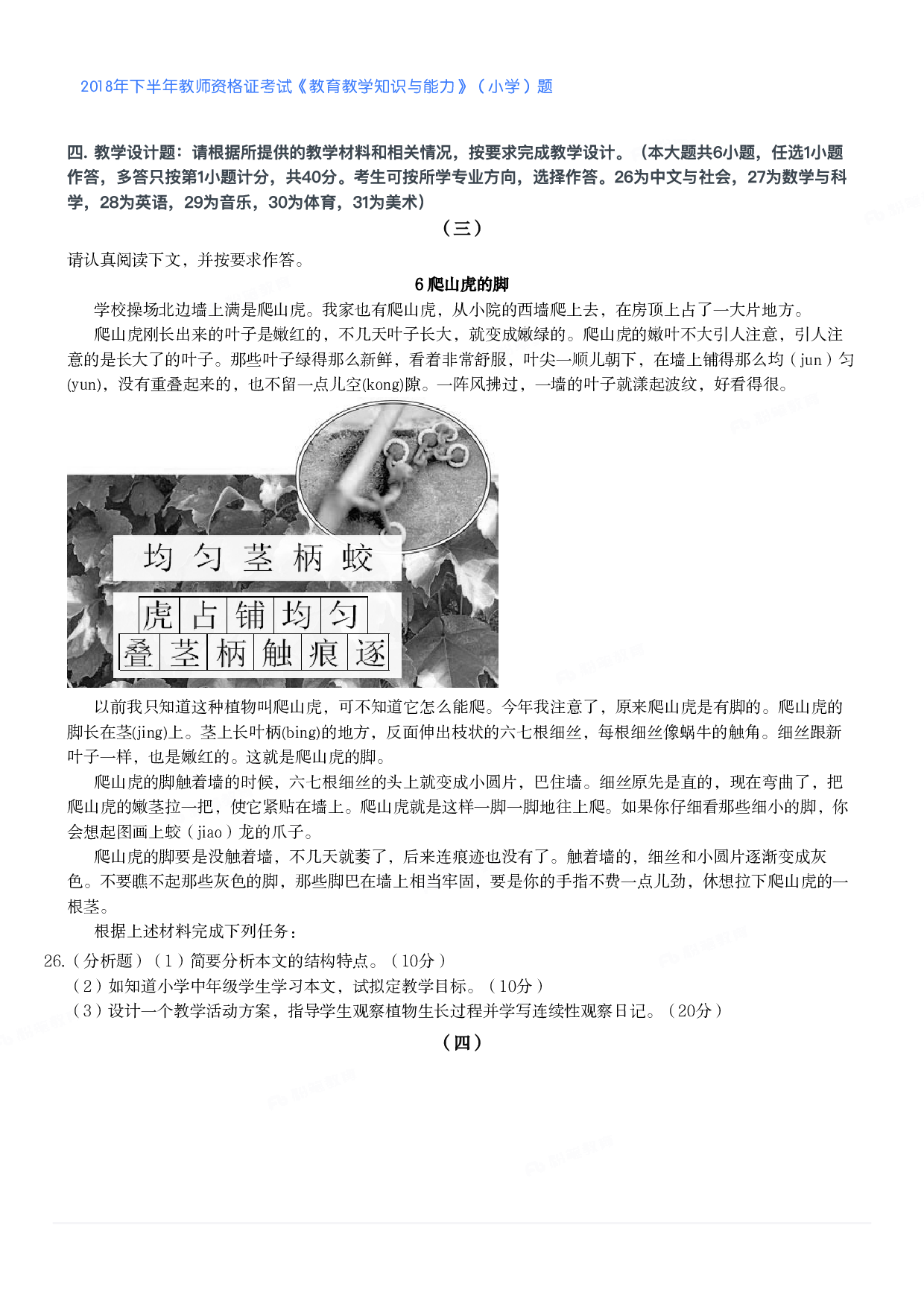 2018年下半年教师资格证考试《教育教学知识与能力》（小学）真题.pdf 第3页
