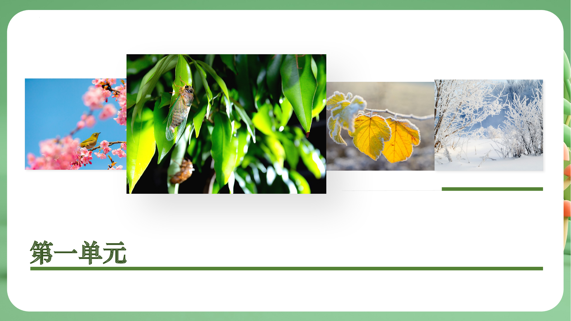 第一单元（复习课件）-（统编版&middot;2024）.pptx 第5页