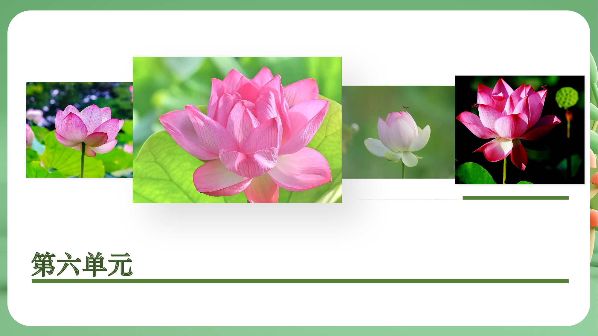 第六单元（复习课件）-（统编版&middot;2024）.pptx 第5页