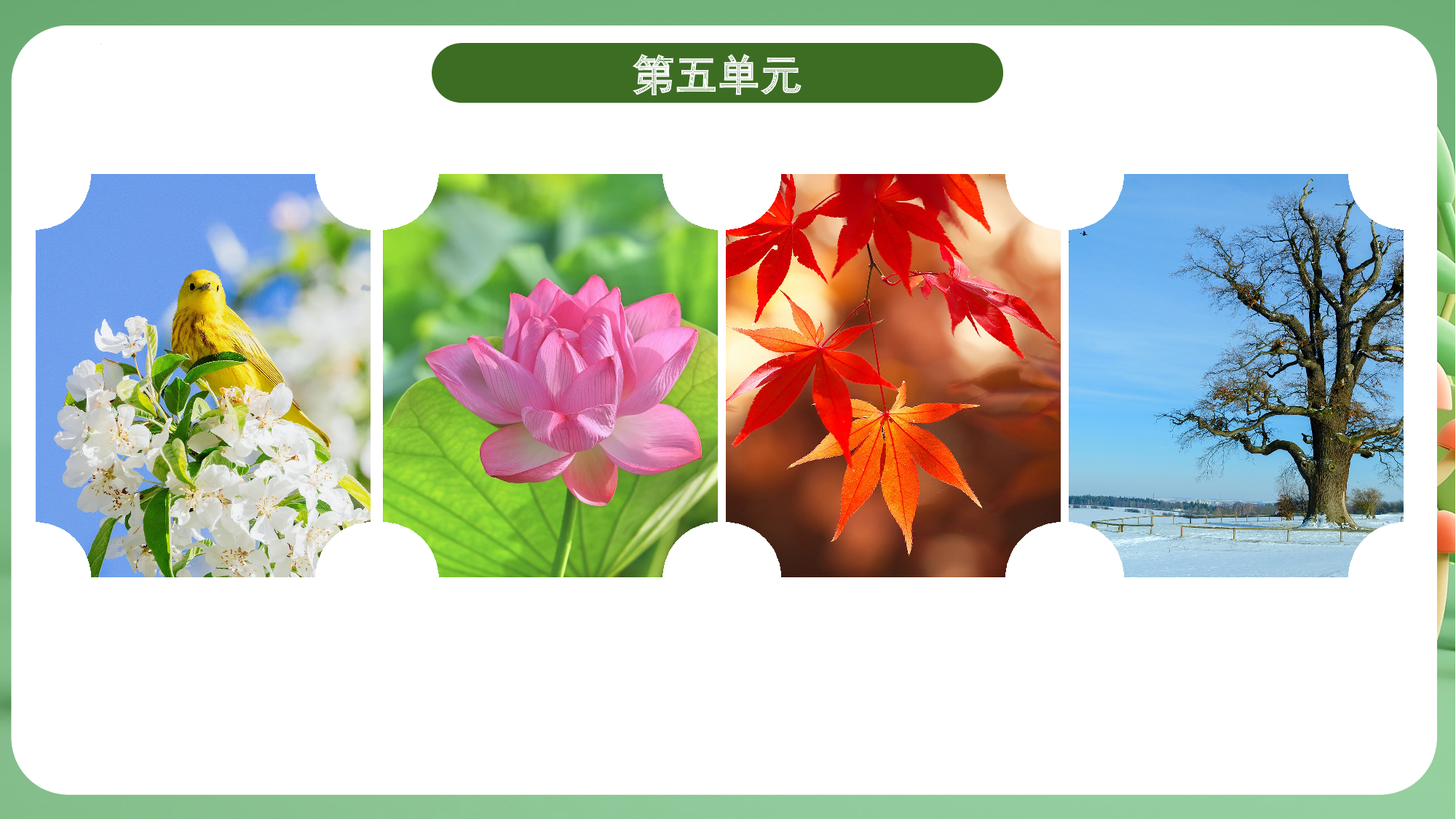 第五单元（复习课件）-（统编版&middot;2024秋）.pptx 第5页