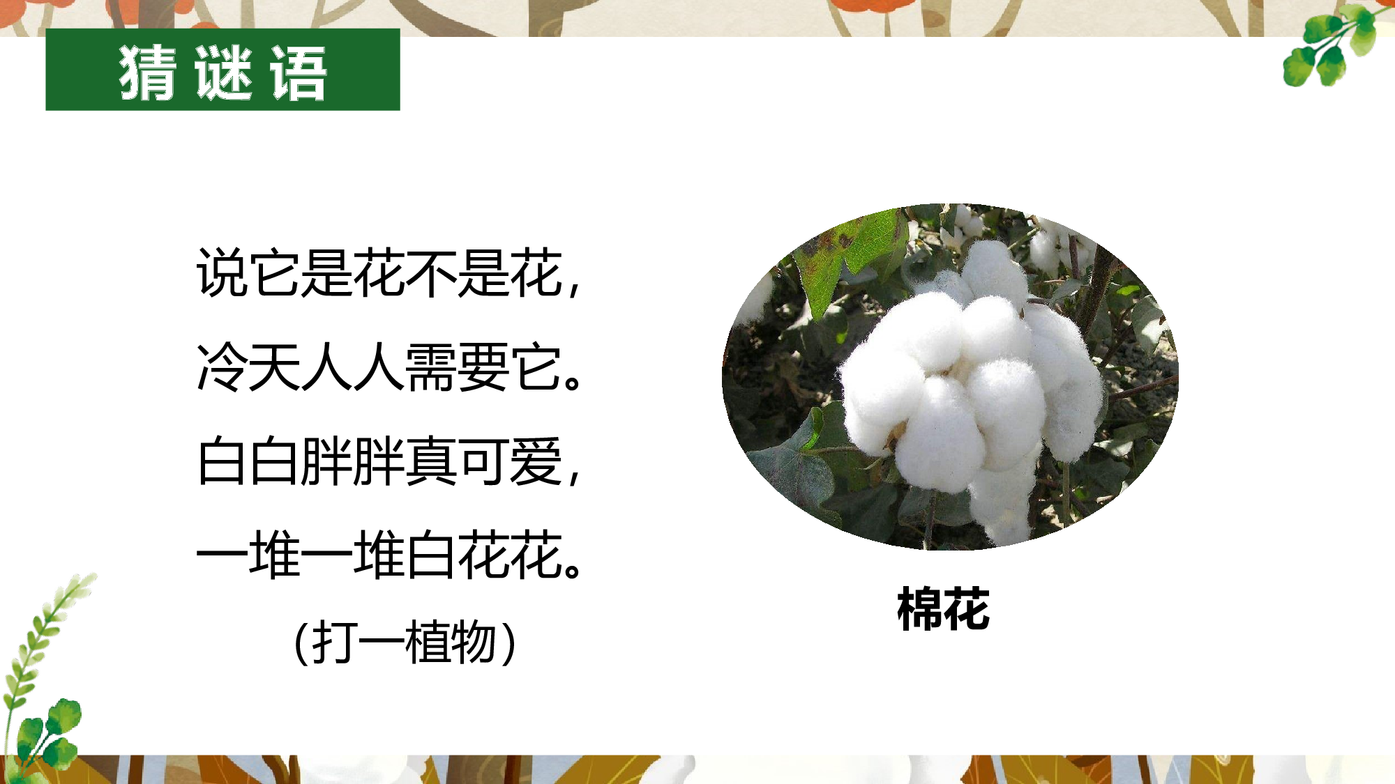 18 棉花姑娘（教学课件）-（统编版.2024）.pptx 第3页