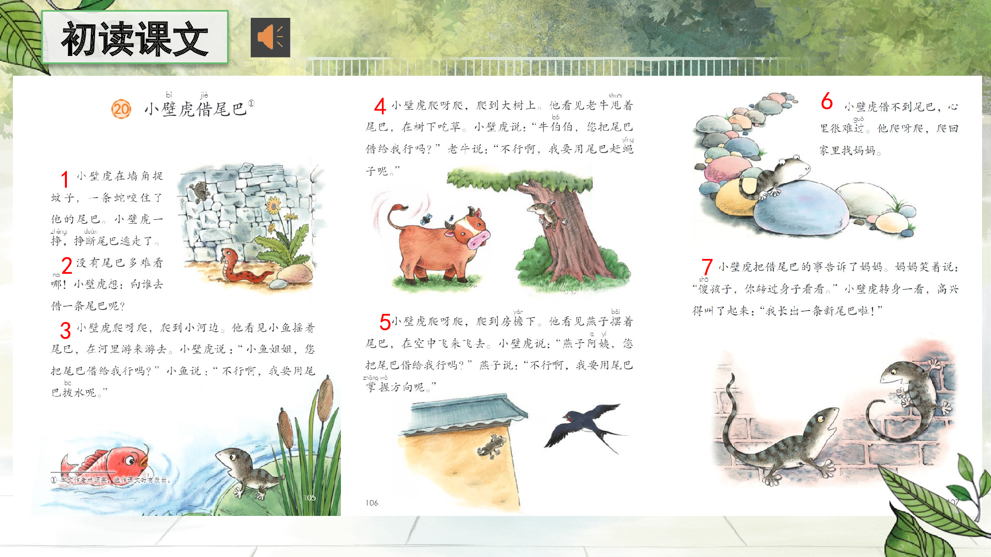 20 小壁虎借尾巴（教学课件）- （统编版.2024）.pptx 第8页