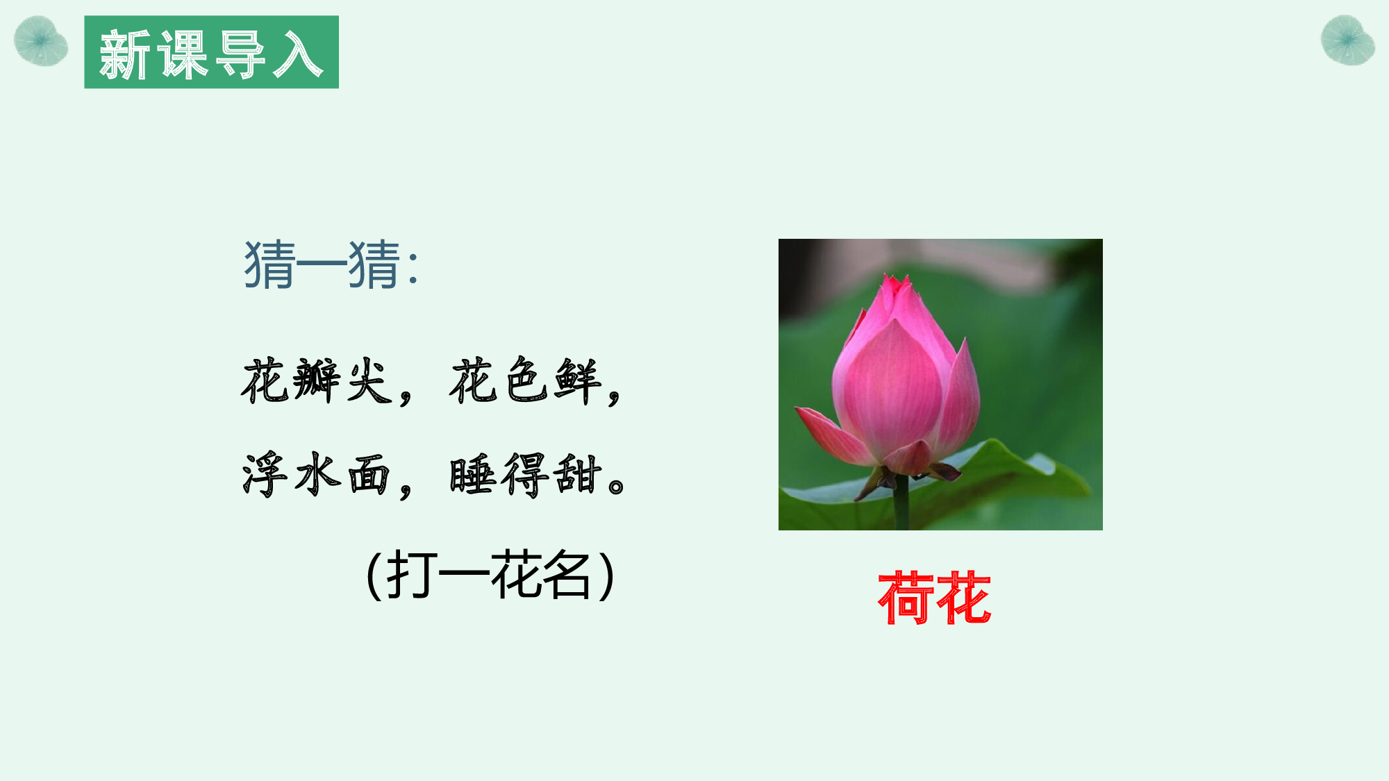 课文10《古诗二首 小池》（教学课件）-（统编版.2024）.pptx 第3页