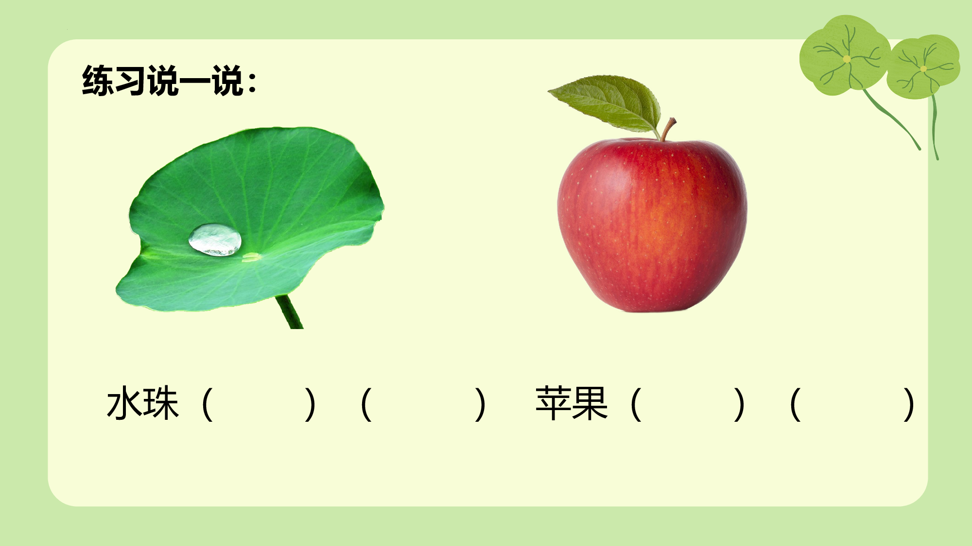 课文12《荷叶圆圆》（教学课件）-（统编版.2024）.pptx 第6页