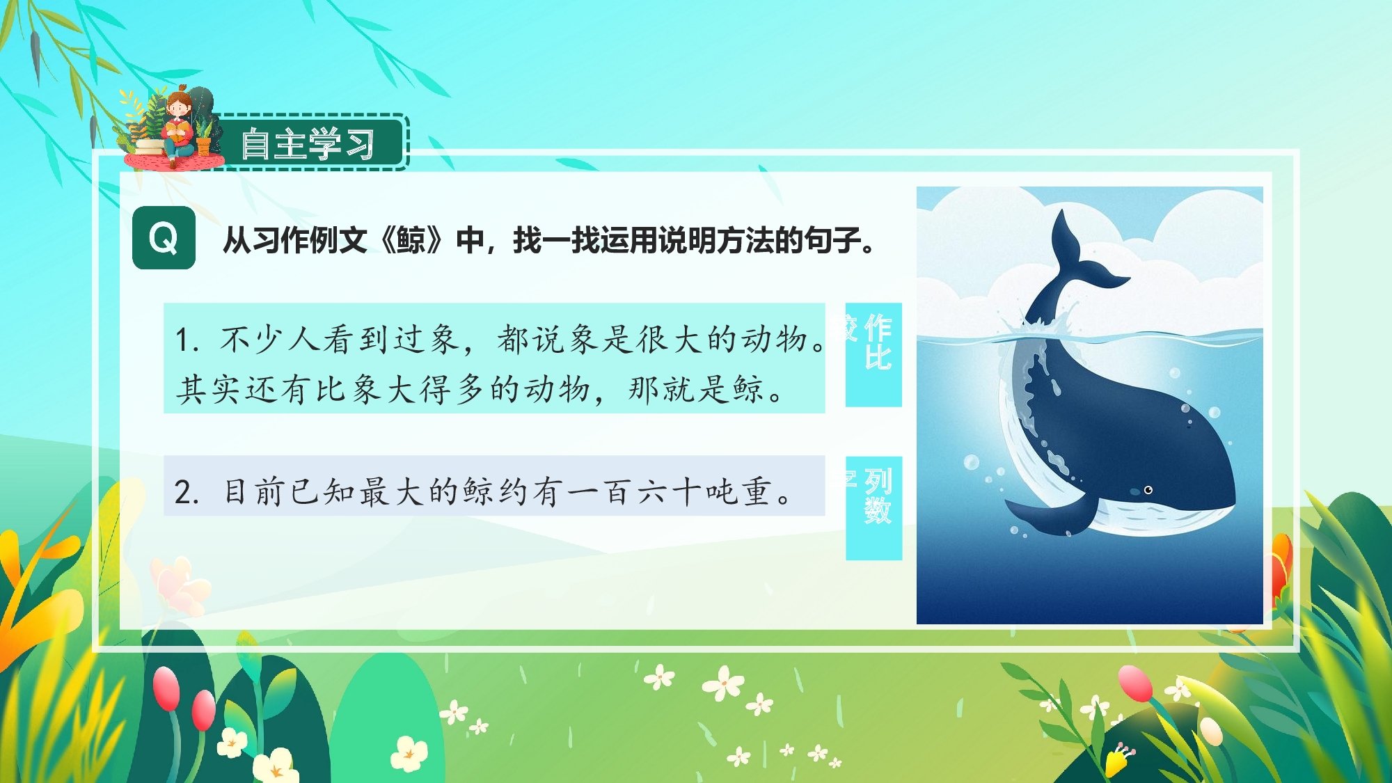 习作例文《鲸》《风向袋的制作》（教学课件）-(统编版).pptx 第6页