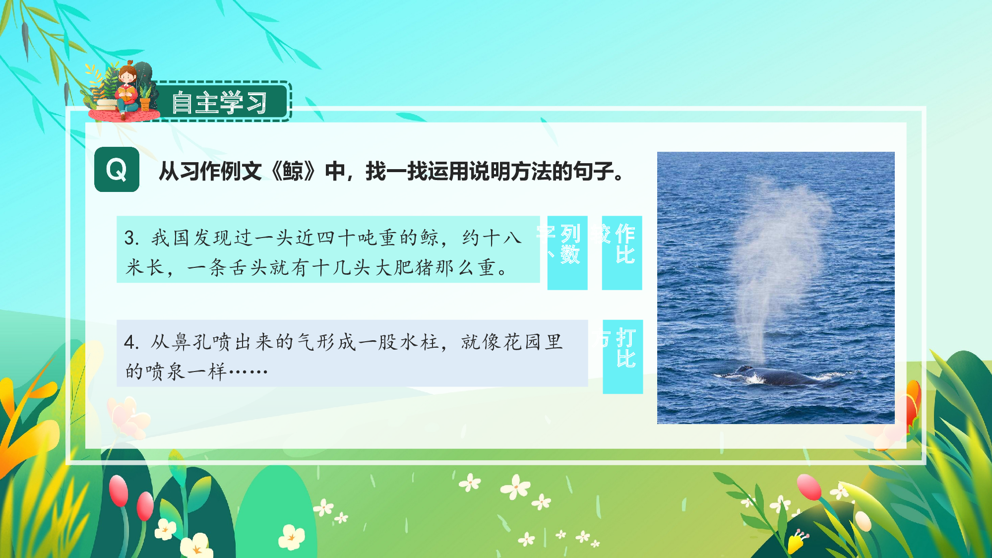 习作例文《鲸》《风向袋的制作》（教学课件）-(统编版).pptx 第7页
