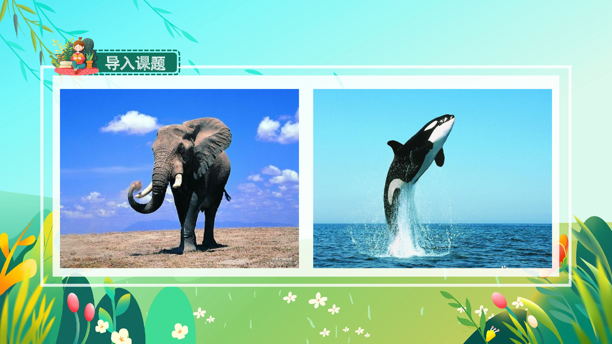 习作例文《鲸》《风向袋的制作》（教学课件）-(统编版).pptx 第3页