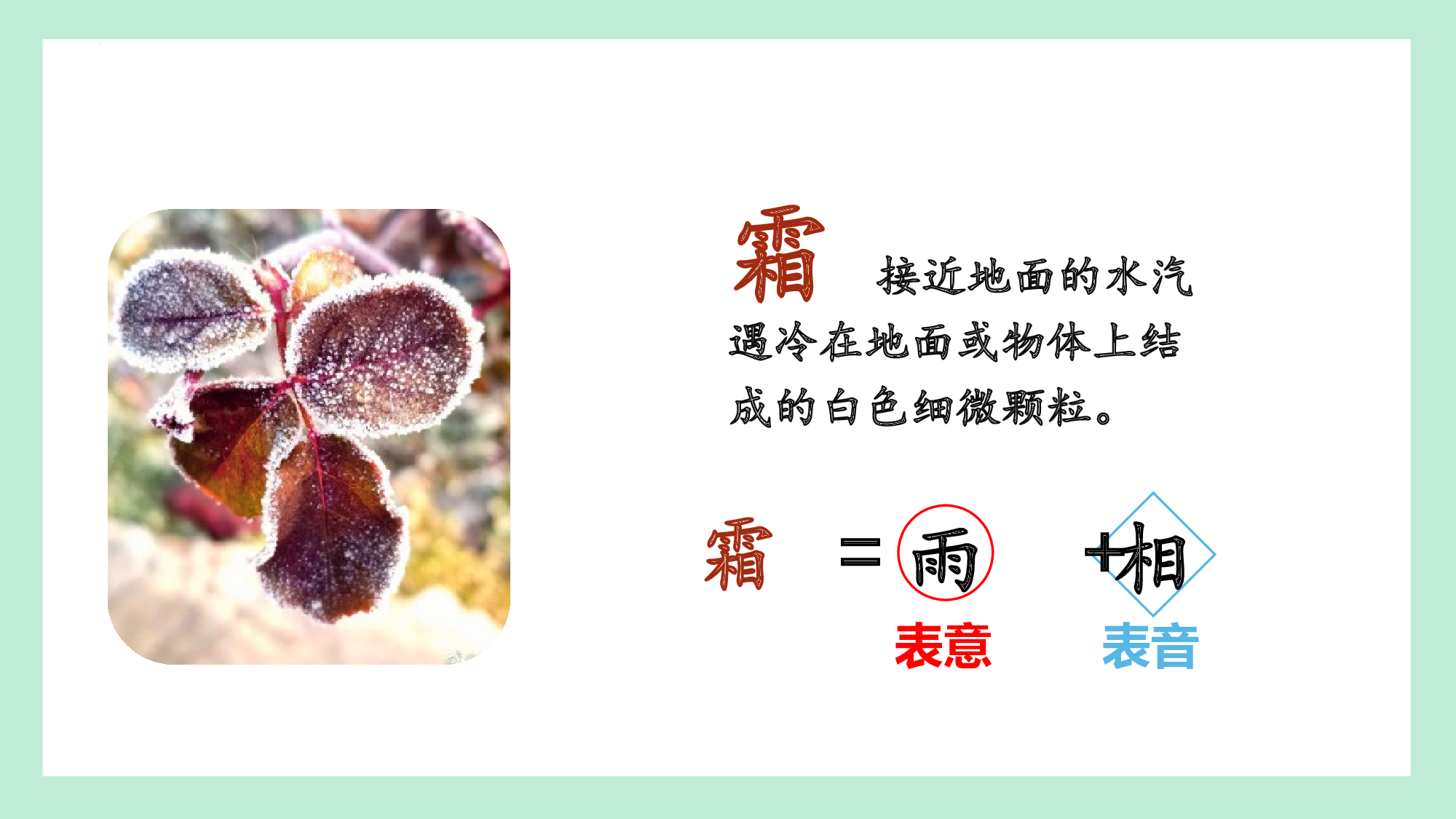 第一单元 02《春夏秋冬》的四季之旅（教学课件）-（统编版.2024）.pptx 第9页