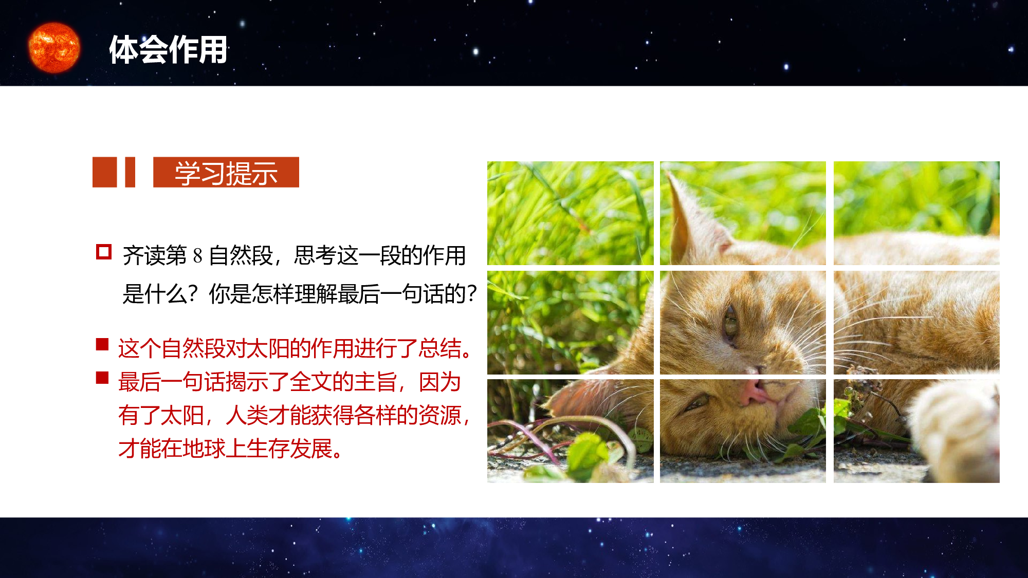 第16课《太阳》（第二课时）（教学课件）-(统编版).pptx 第8页