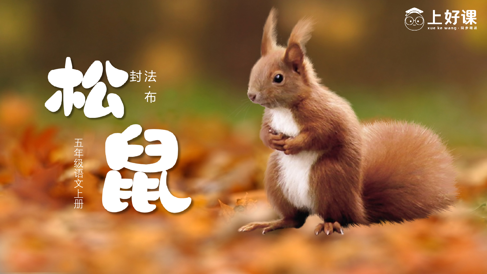 第17课《松鼠》（第一课时）（教学课件）-(统编版).pptx 第3页