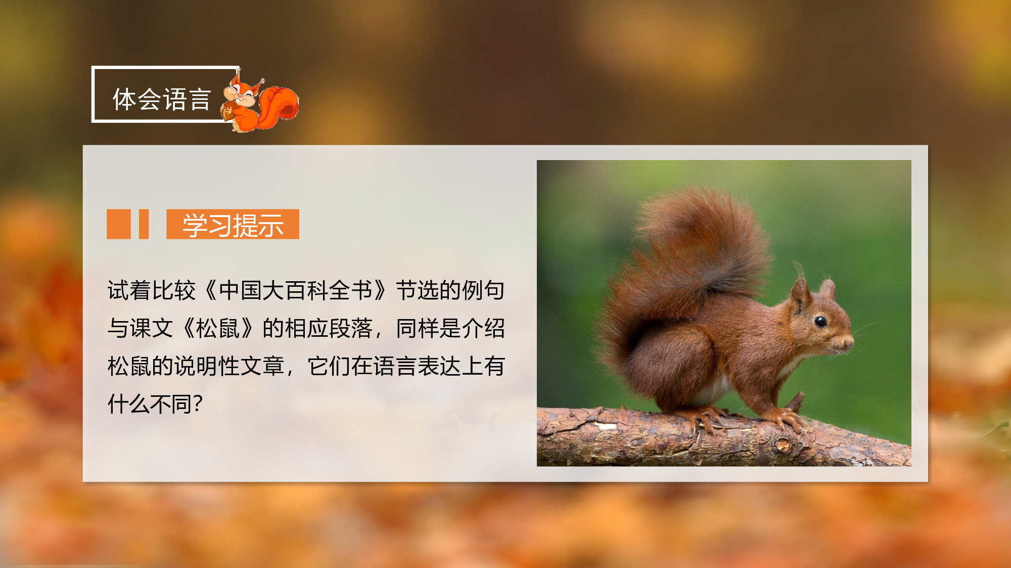 第17课《松鼠》（第二课时）（教学课件）-(统编版).pptx 第10页