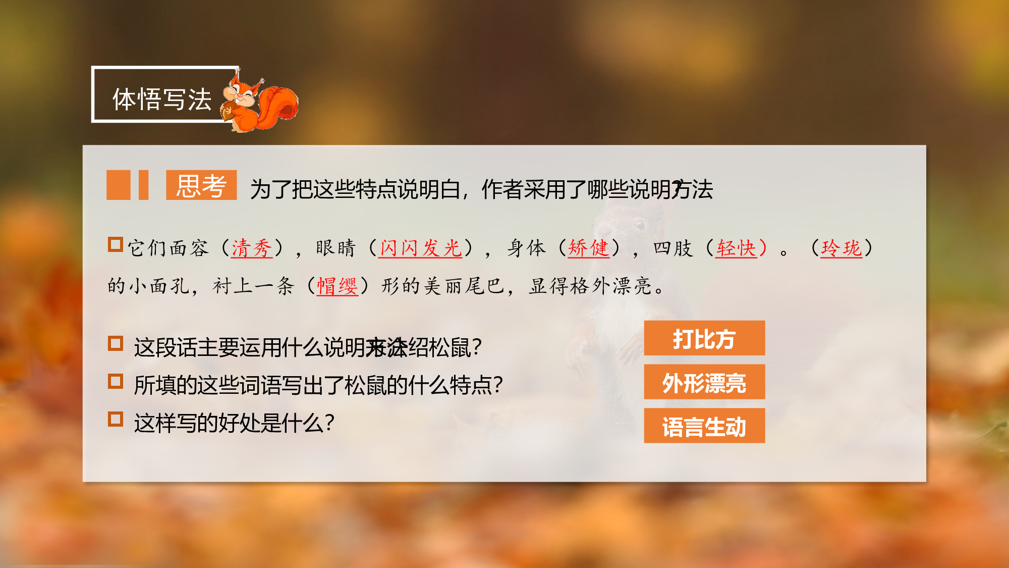 第17课《松鼠》（第二课时）（教学课件）-(统编版).pptx 第4页