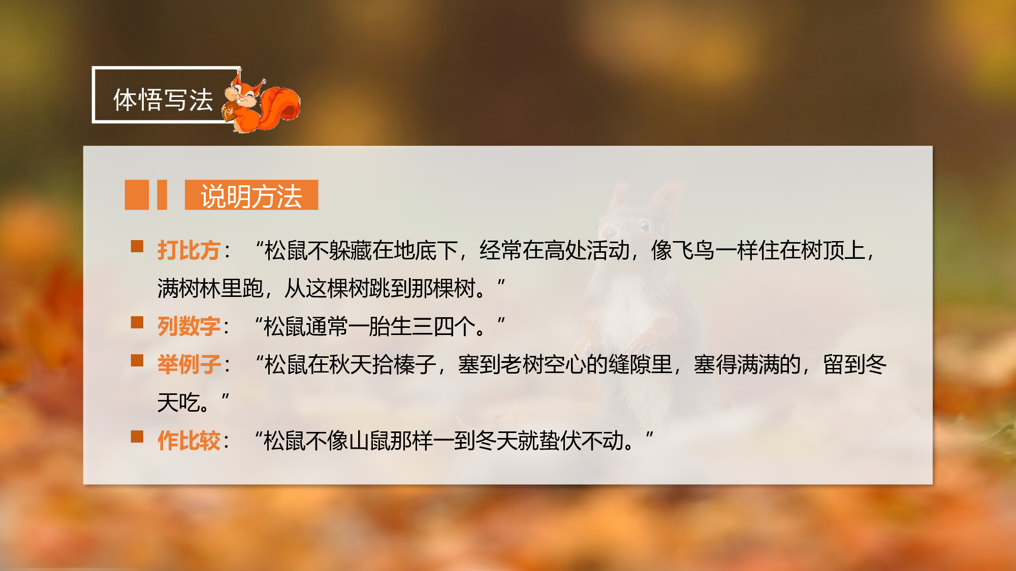 第17课《松鼠》（第二课时）（教学课件）-(统编版).pptx 第6页