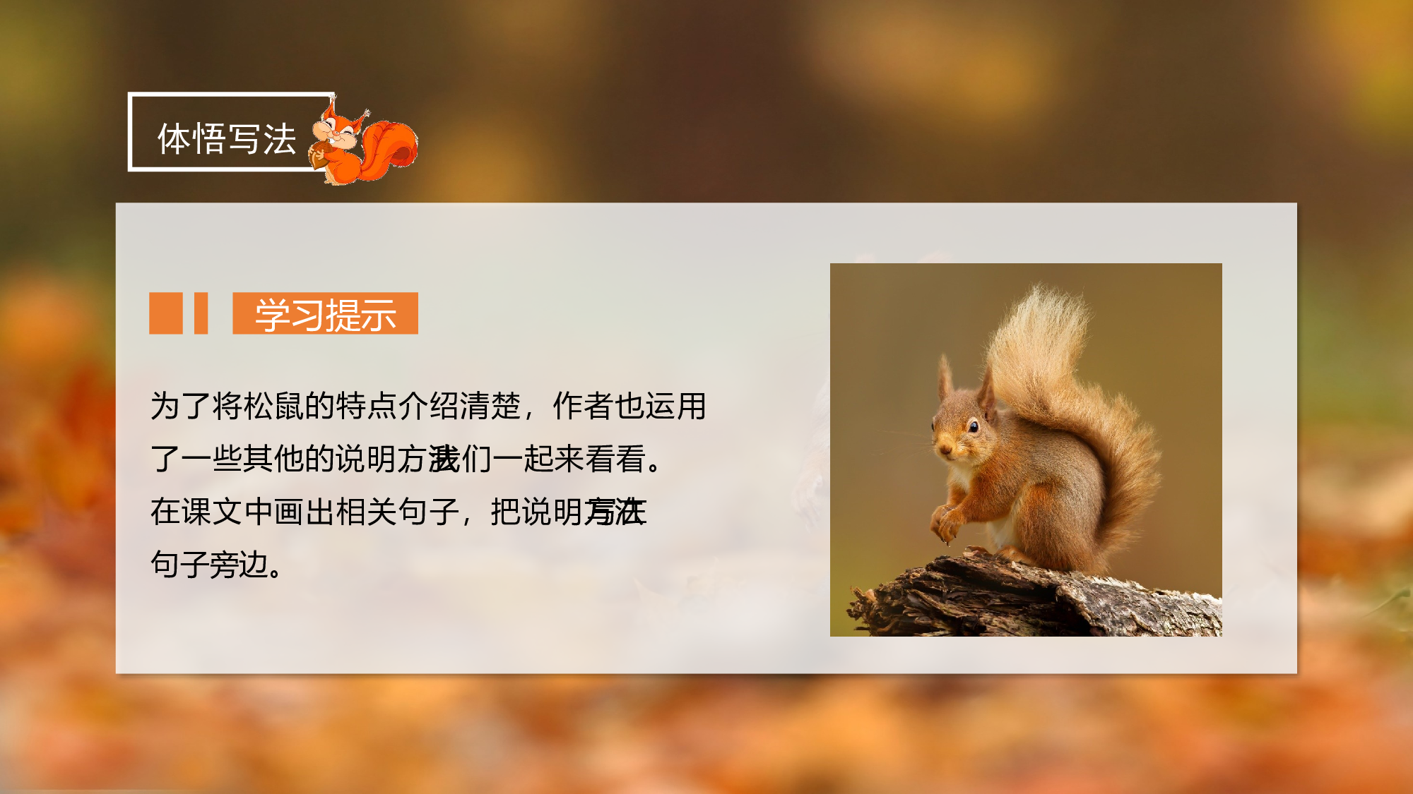 第17课《松鼠》（第二课时）（教学课件）-(统编版).pptx 第5页