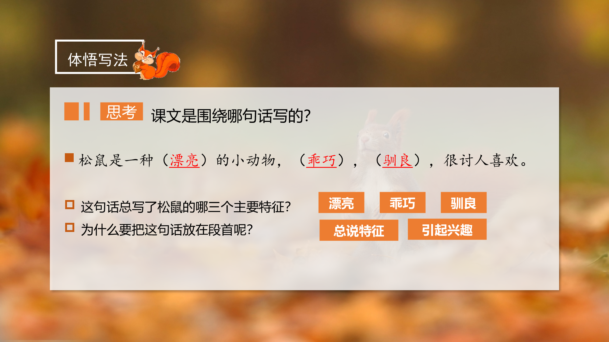 第17课《松鼠》（第二课时）（教学课件）-(统编版).pptx 第3页