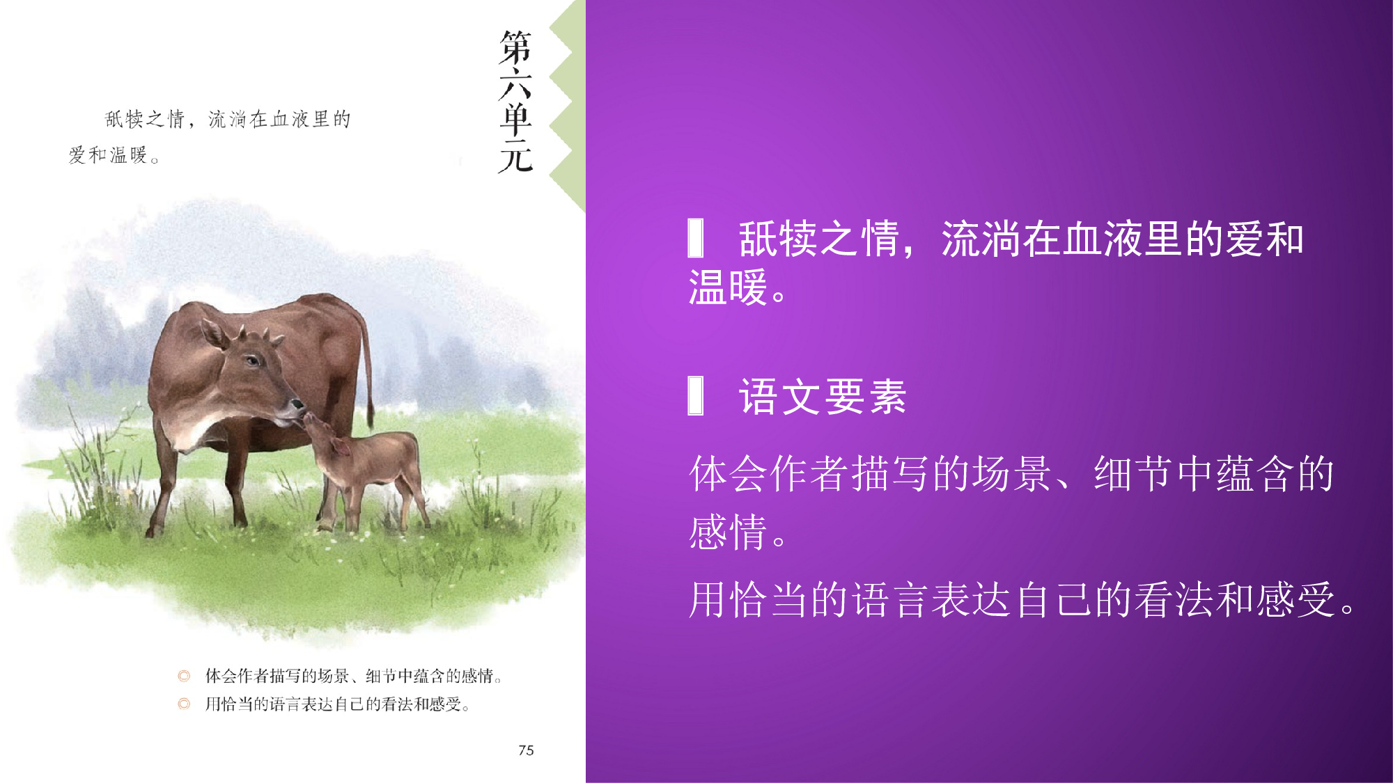 第18课《慈母情深》（第一课时）（教学课件）-(统编版).pptx 第2页