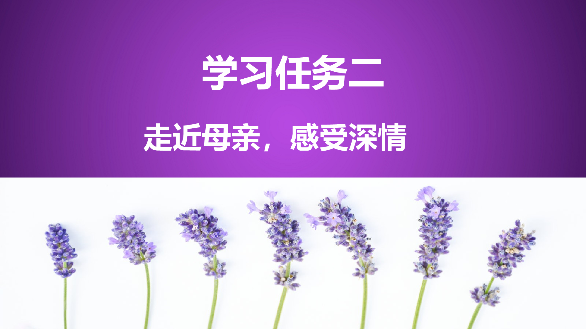 第18课《慈母情深》（第二课时）（教学课件）-(统编版).pptx 第10页