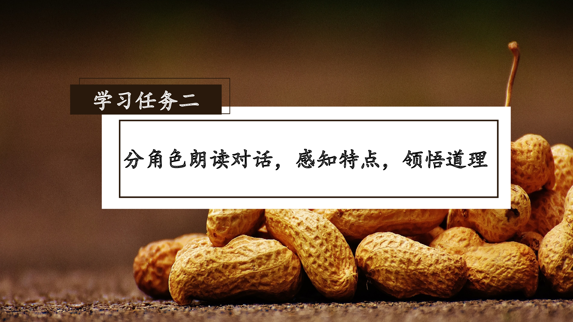 第2课《落花生》（第二课时）（教学课件）-(统编版).pptx 第4页