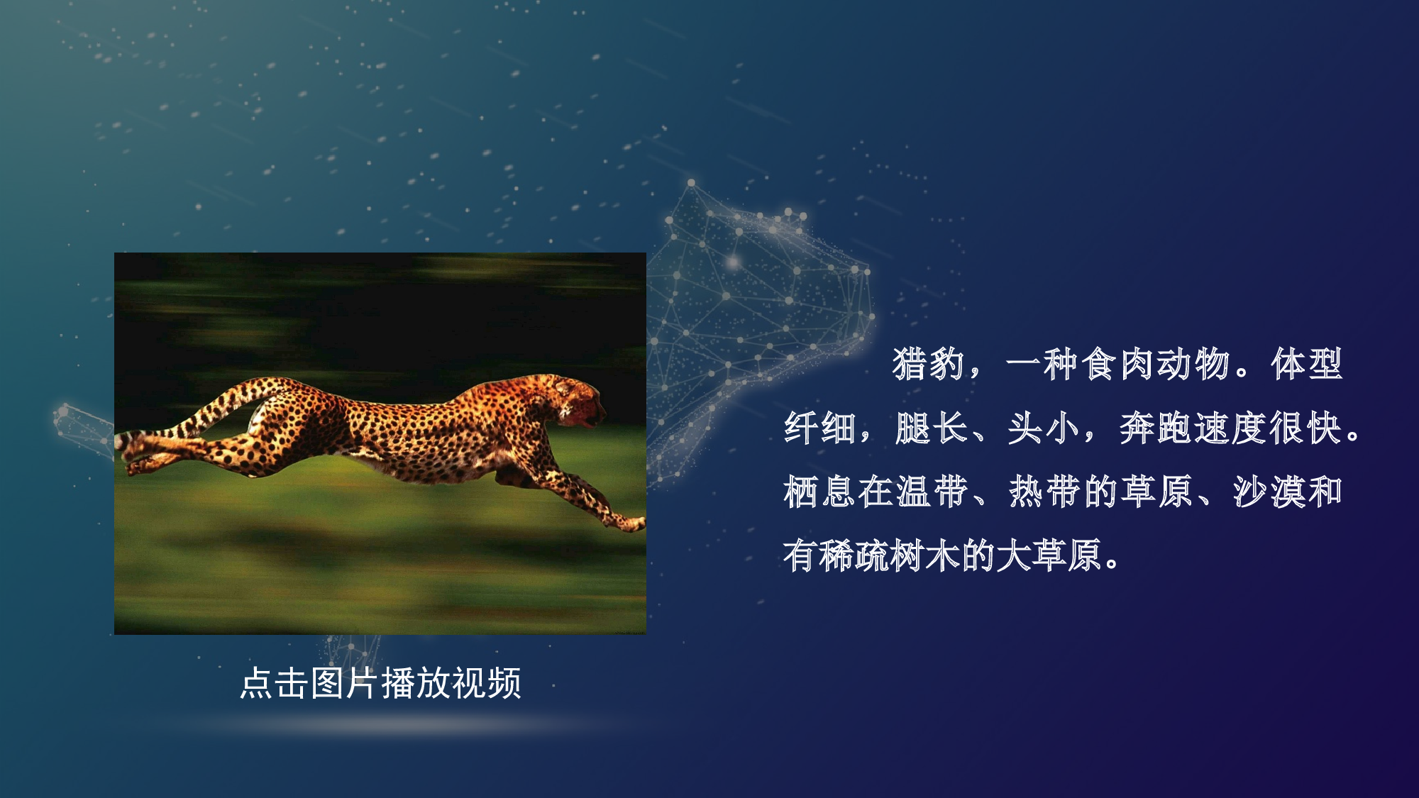 第7课《什么比猎豹的速度更快》（第一课时）（教学课件）-(统编版).pptx 第7页