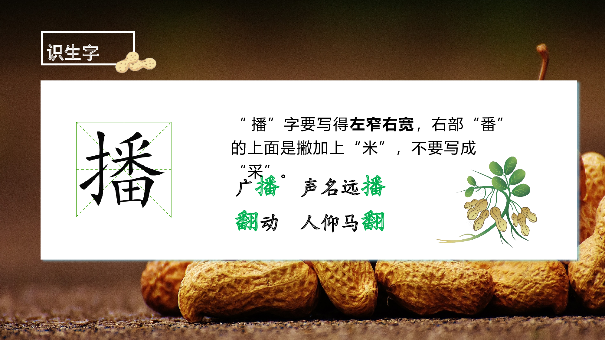 第2课《落花生》（第一课时）（教学课件）-【上好课】 五年级语文上册同步高效课堂系列 (统编版).pptx 第8页