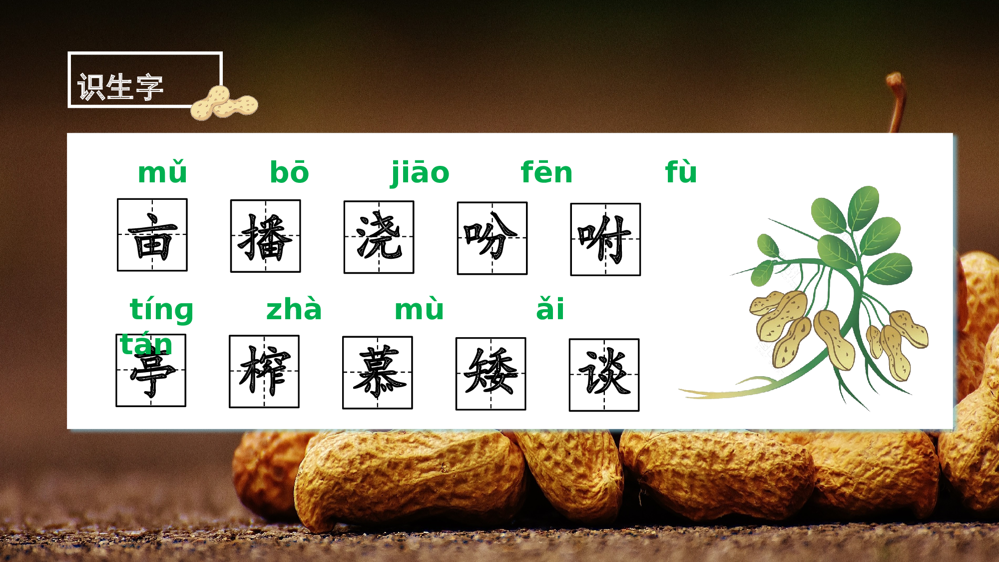 第2课《落花生》（第一课时）（教学课件）-【上好课】 五年级语文上册同步高效课堂系列 (统编版).pptx 第7页