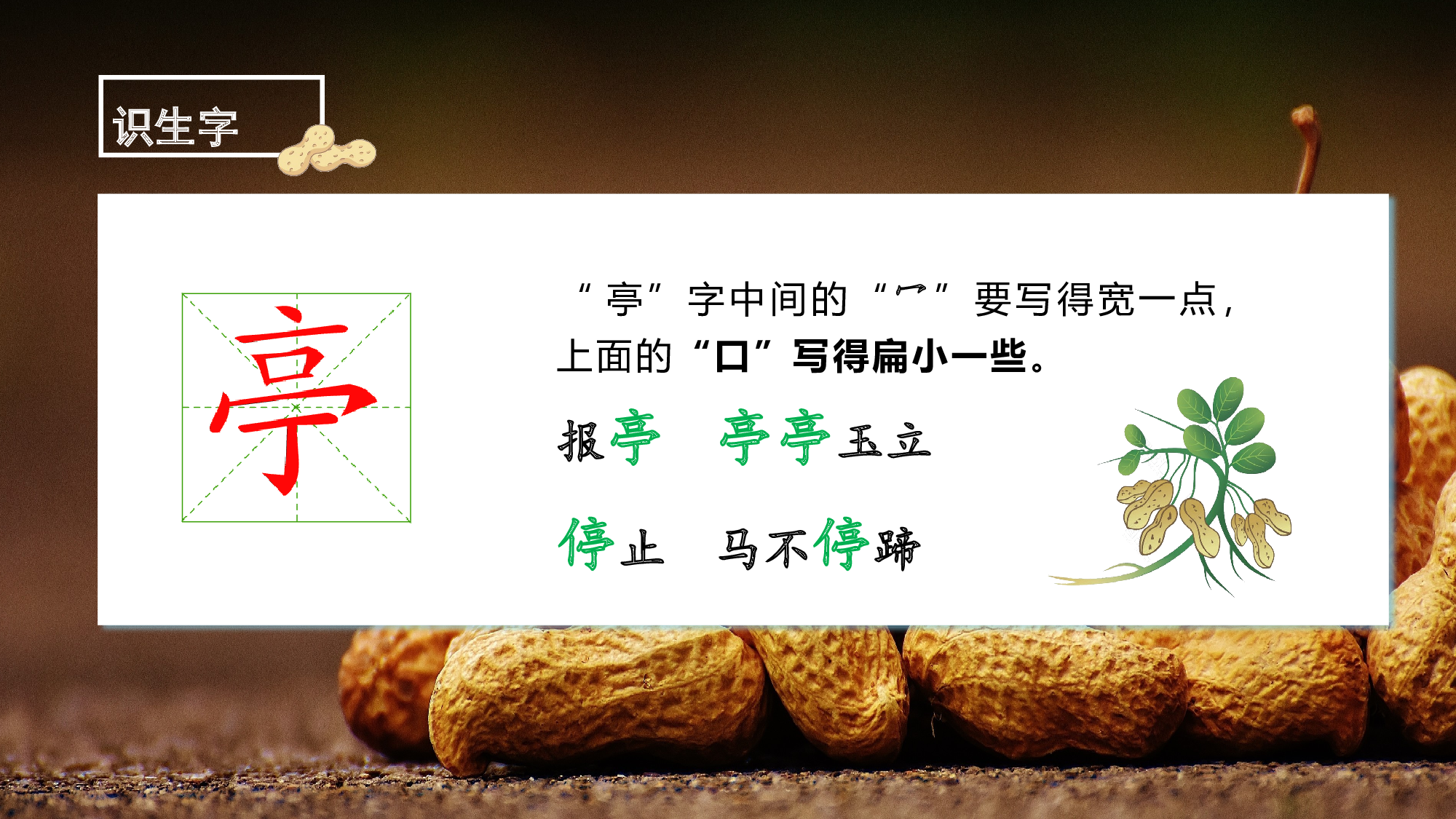 第2课《落花生》（第一课时）（教学课件）-【上好课】 五年级语文上册同步高效课堂系列 (统编版).pptx 第9页