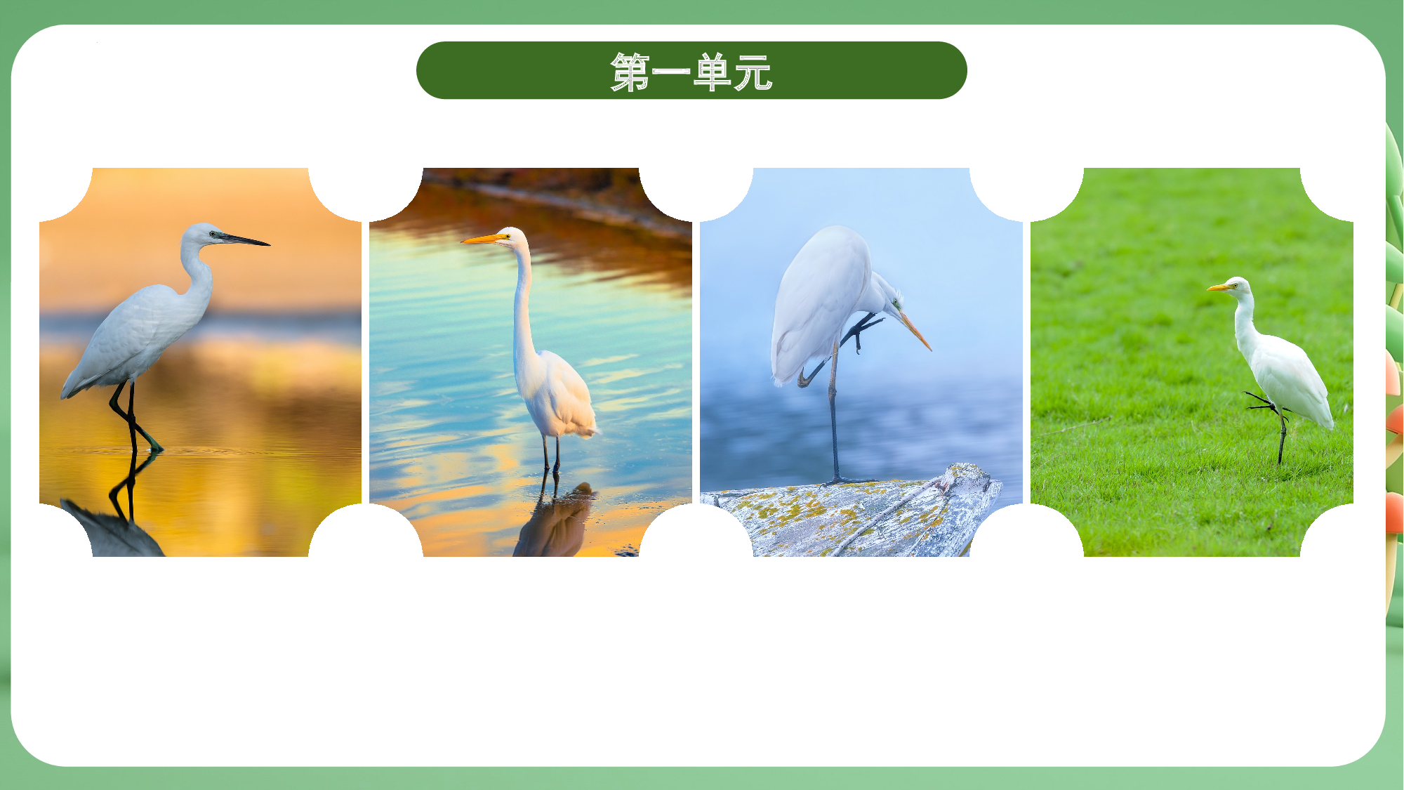 第一单元（复习课件）-（统编版）.pptx 第5页