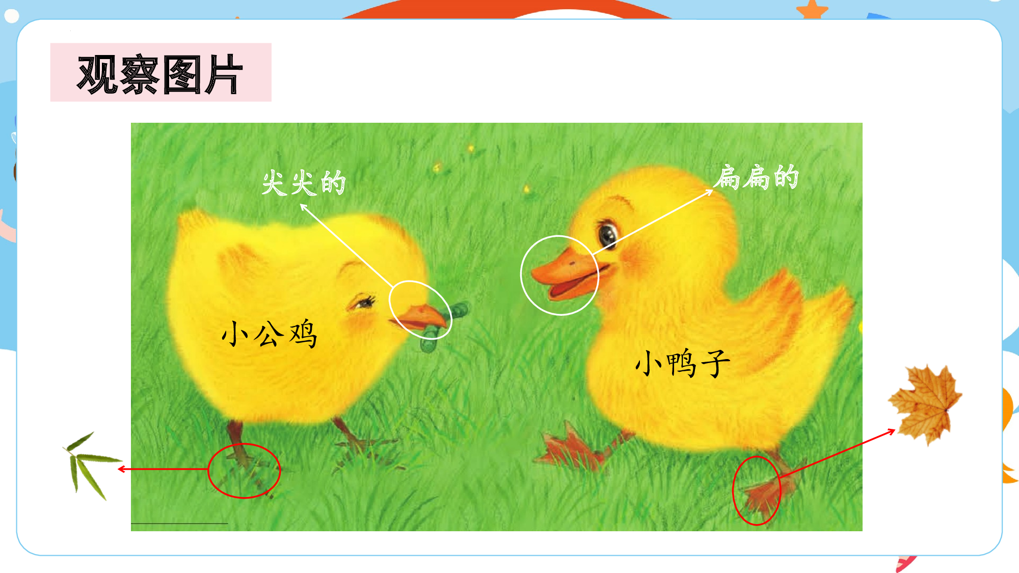 第三单元 02《小公鸡和小鸭子》的互助故事（教学课件）-（统编版.2024）.pptx 第4页