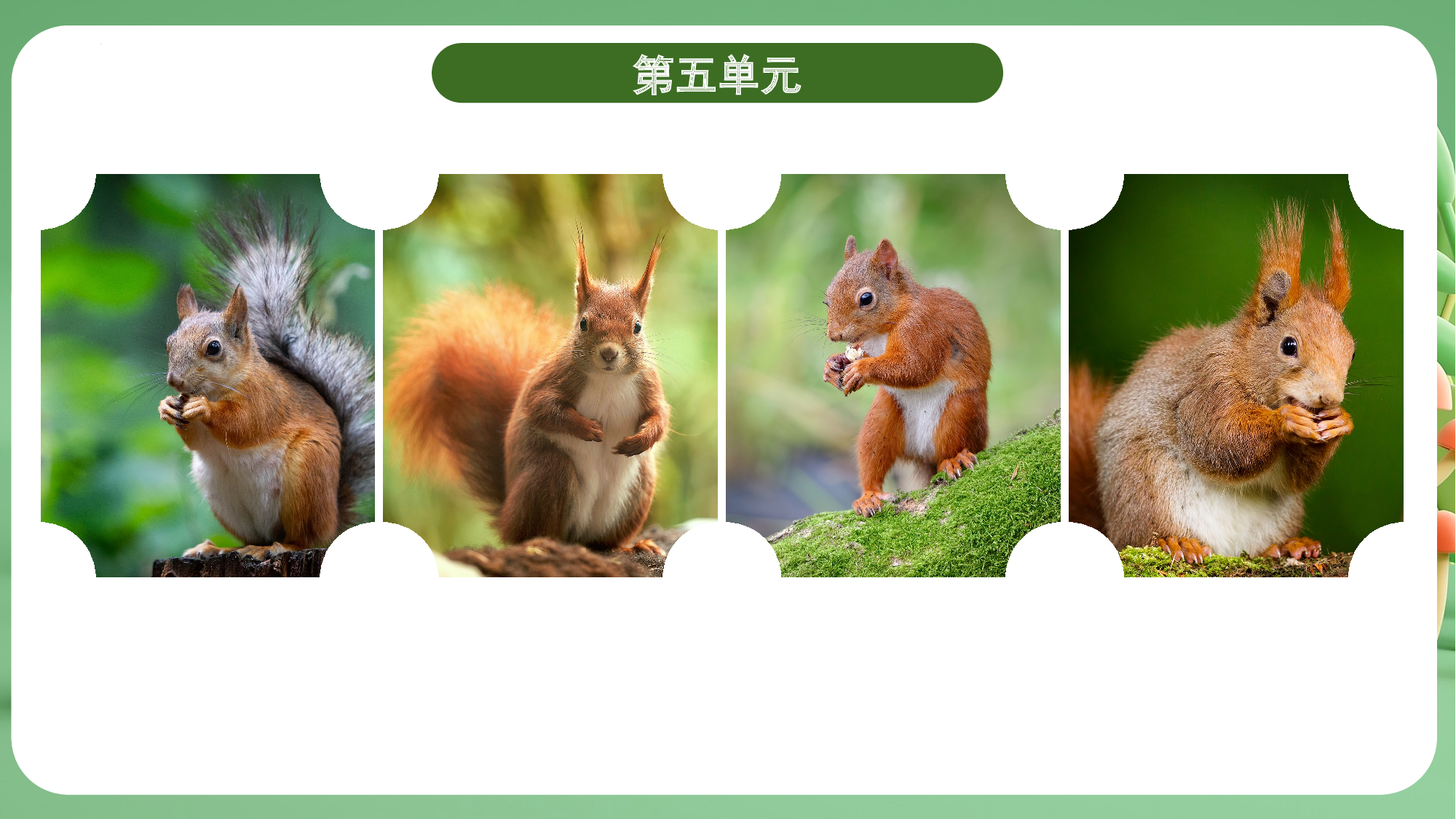 第五单元（复习课件）-（统编版）.pptx 第5页